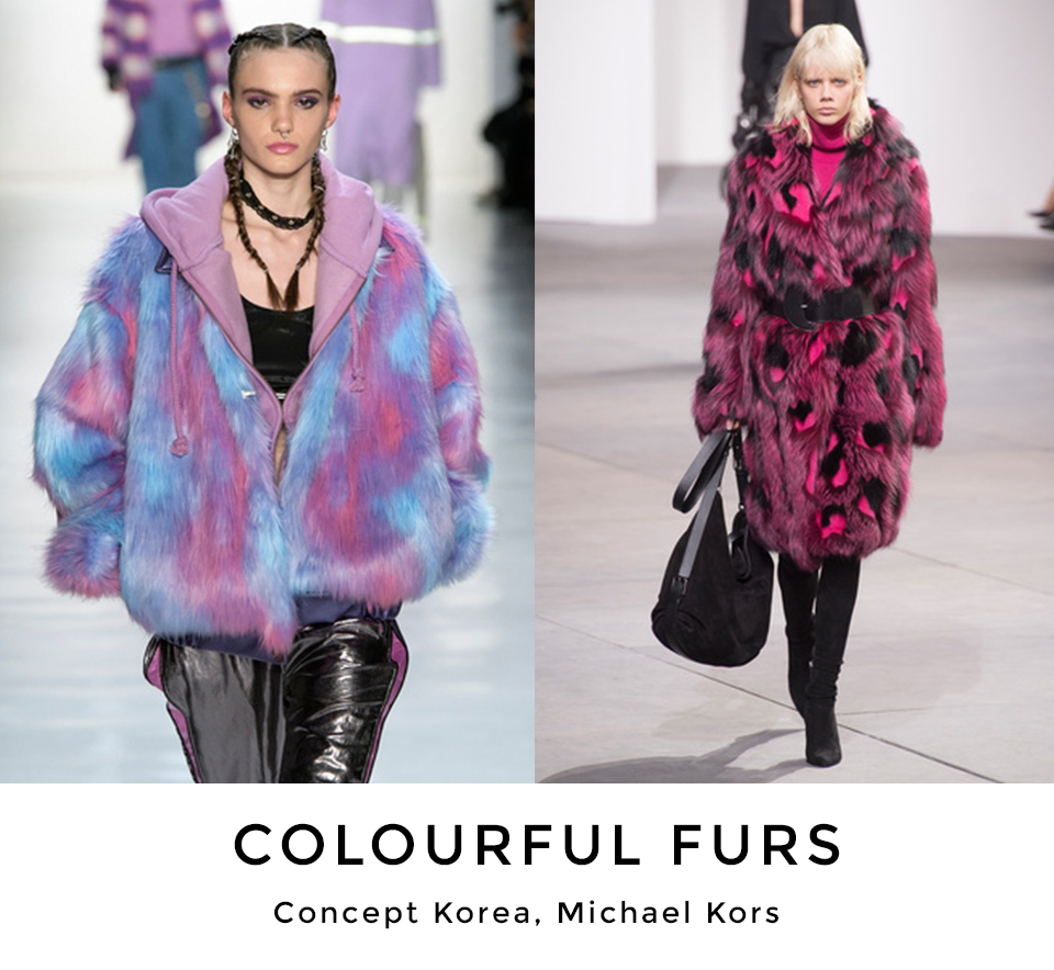 COLOURFUL FURS.png