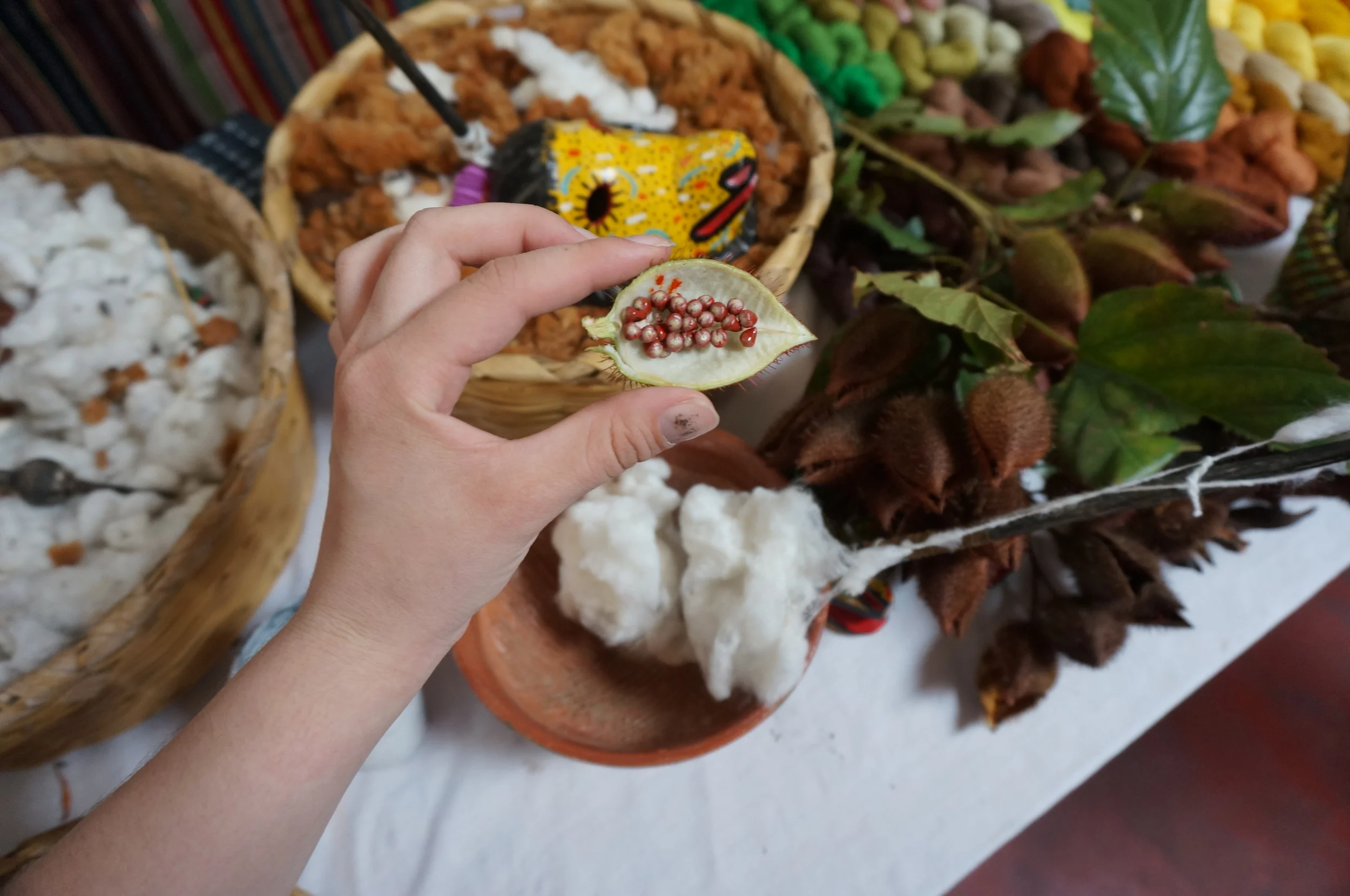 Insects, leaves, bark and other natural materials are used to create various colors of dyes.