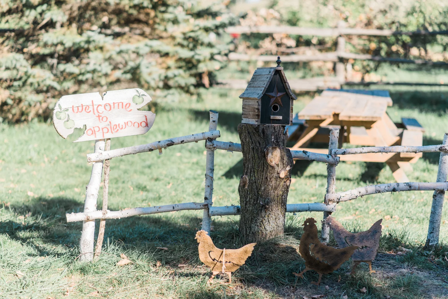 apple-picking-1.jpg