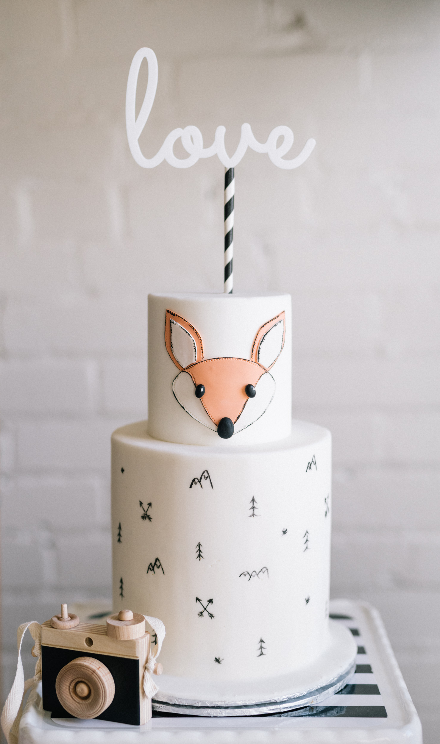 Hidden inside this wilderness-themed cake by Cakelaine is the baby's gender. The cute handmade wooden camera is made by Little Rose and Co.
