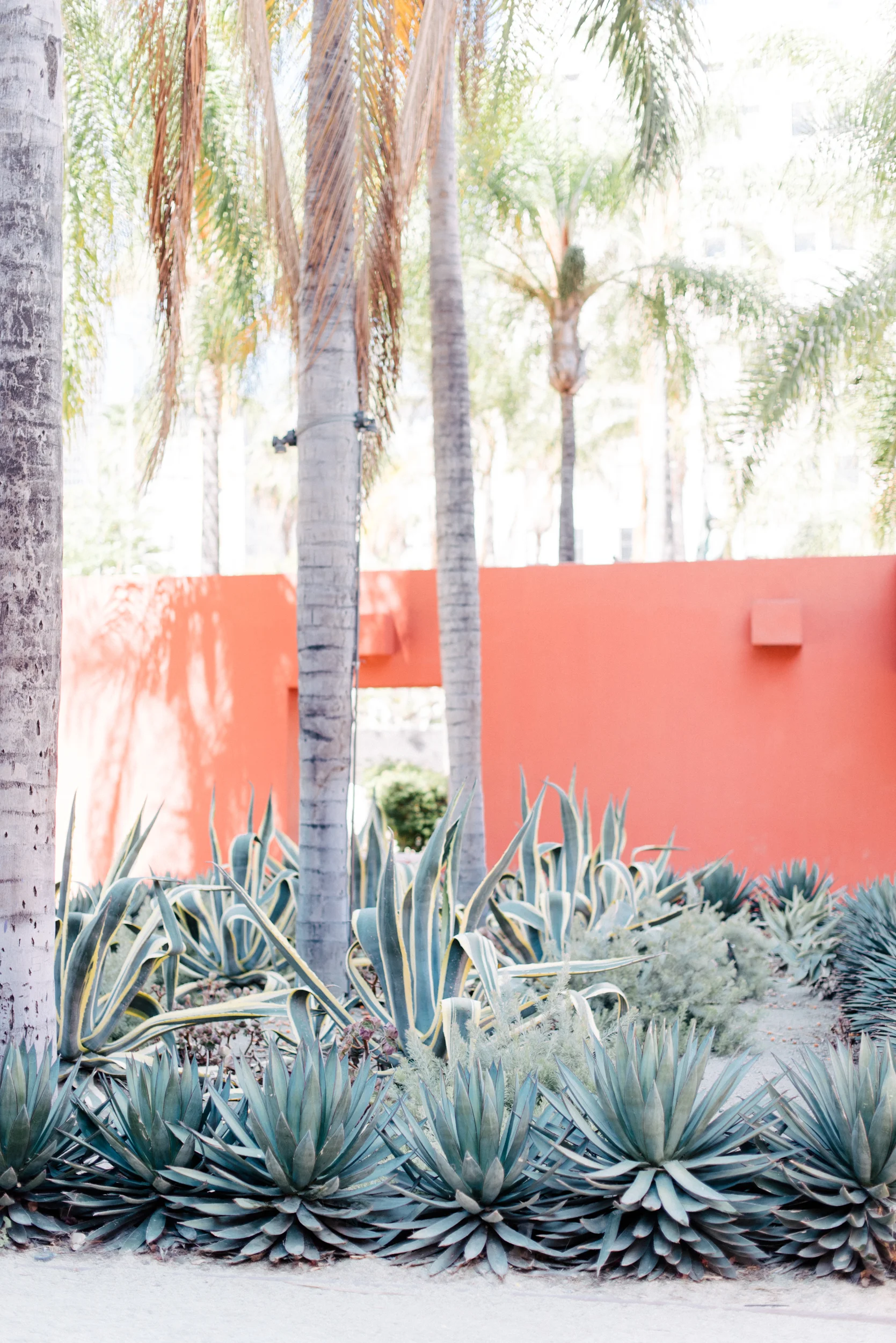 los-angeles-59.jpg