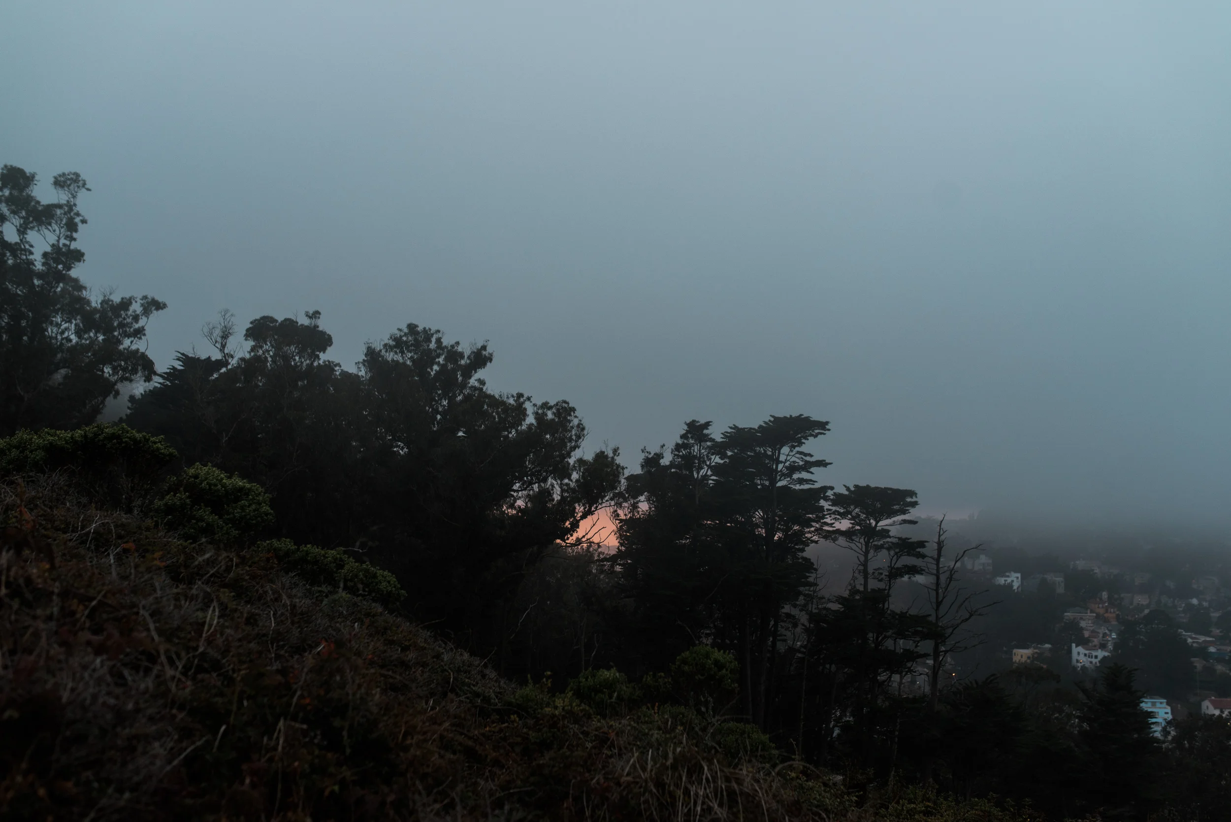 san-francisco-30.jpg