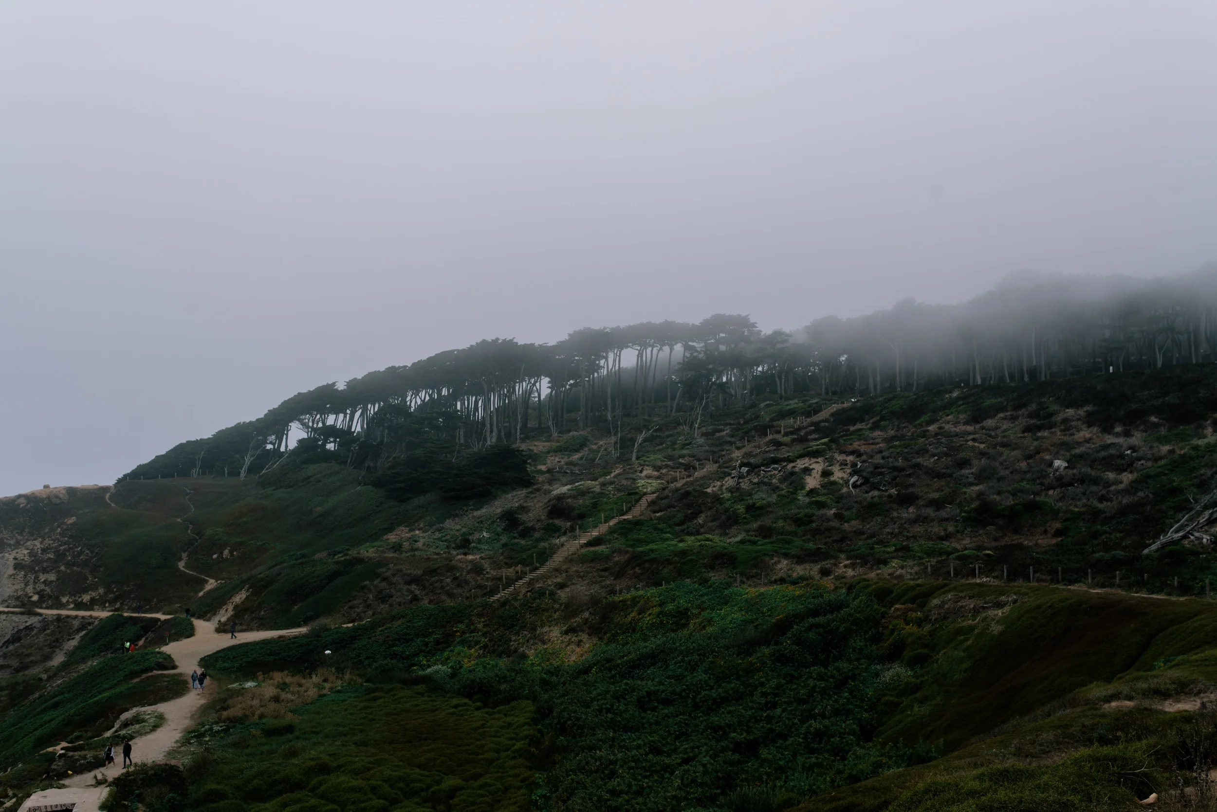 san-francisco-58.jpg