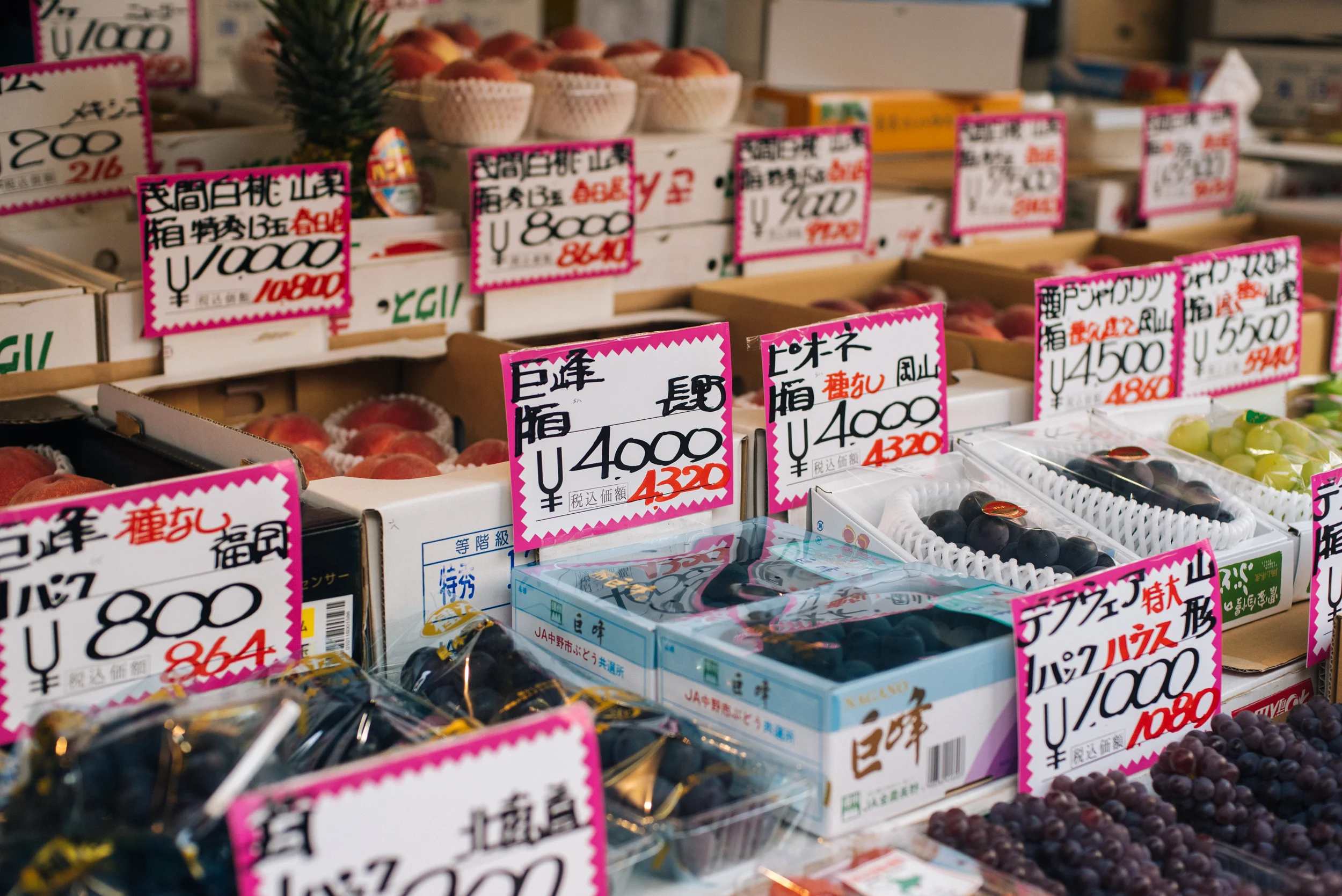 tokyo-18.jpg
