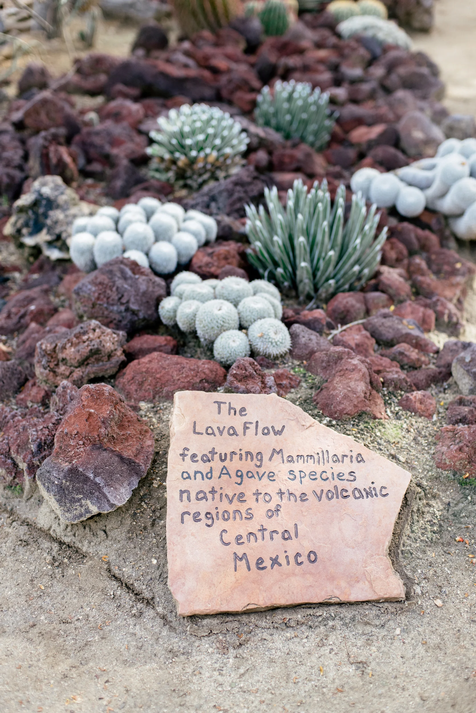 palm-springs-30.jpg