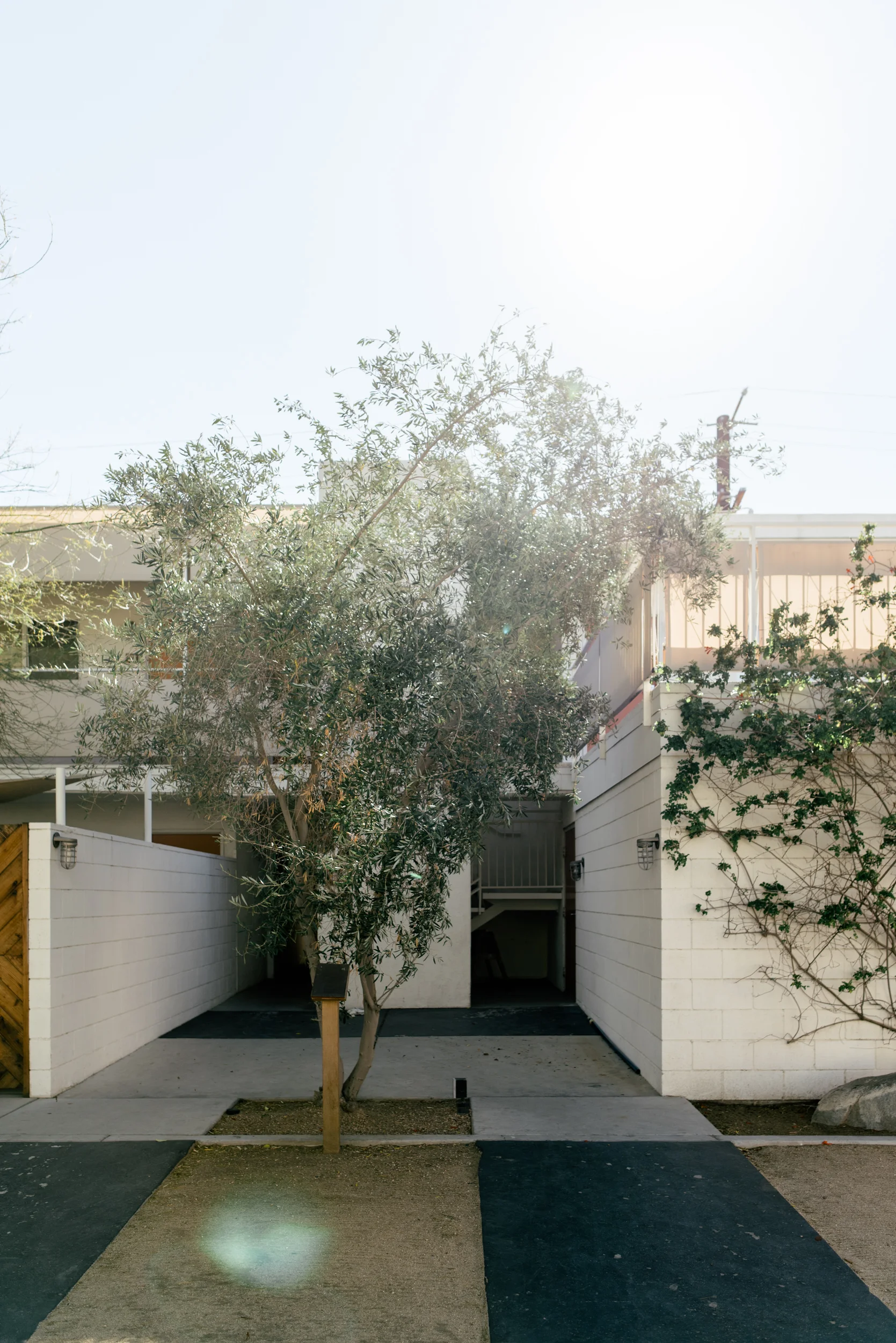 palm-springs-127.jpg
