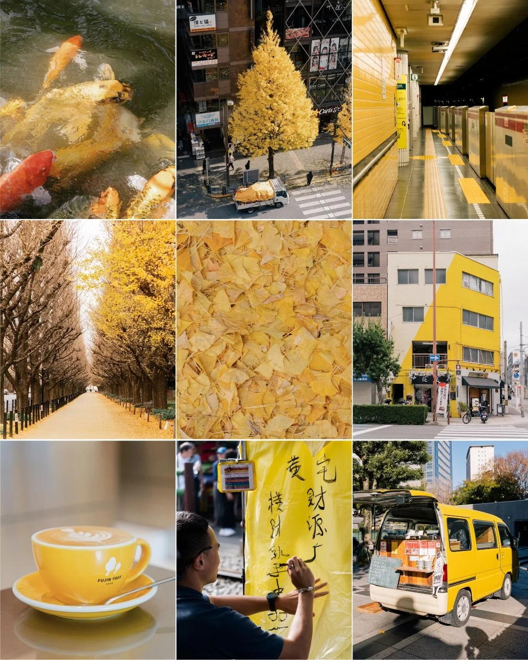 Went on a 🟡💛⭐️🟨 colour hunt in Japan and Taiwan ☺️ Which one&rsquo;s your favourite? I love the ones with the ginkgo tree and flatbed truck. 

#tokyo #japan #taipei #taiwan #colourhunters