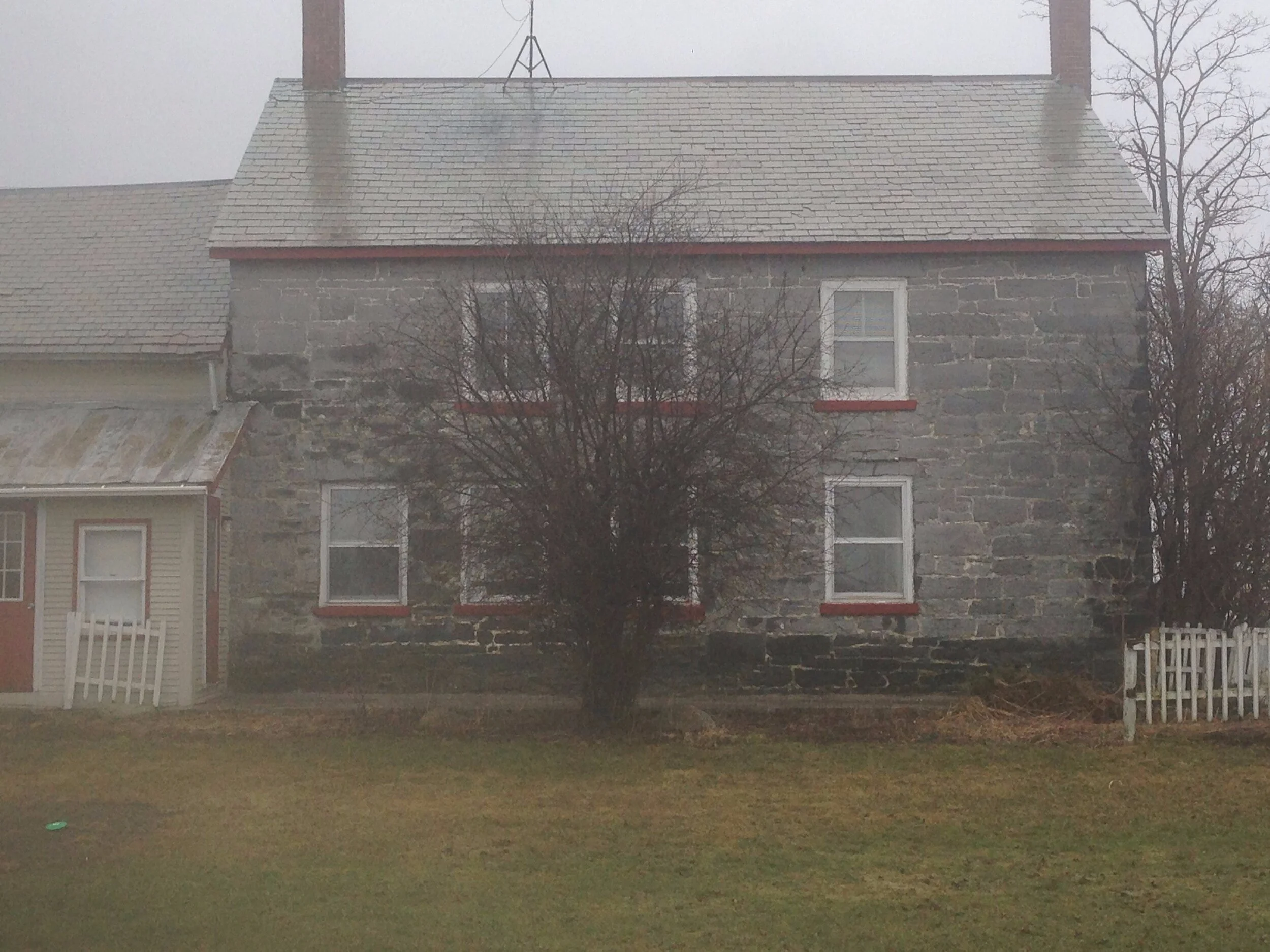  Removing this tree and adding a back door to what will be the patio 