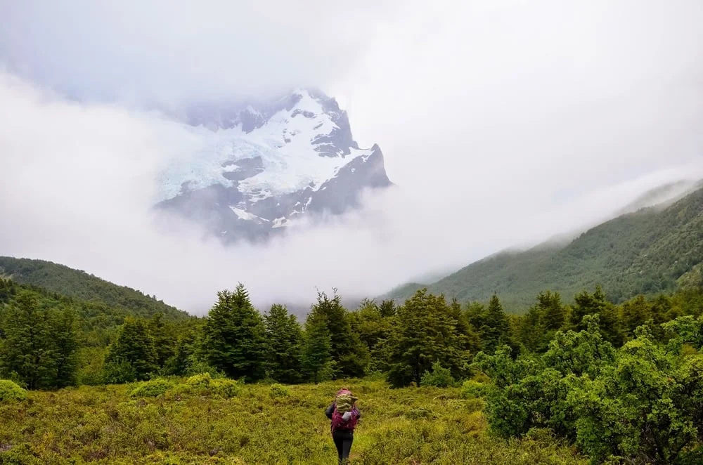 patagonia w trek day III: vertice paine grande