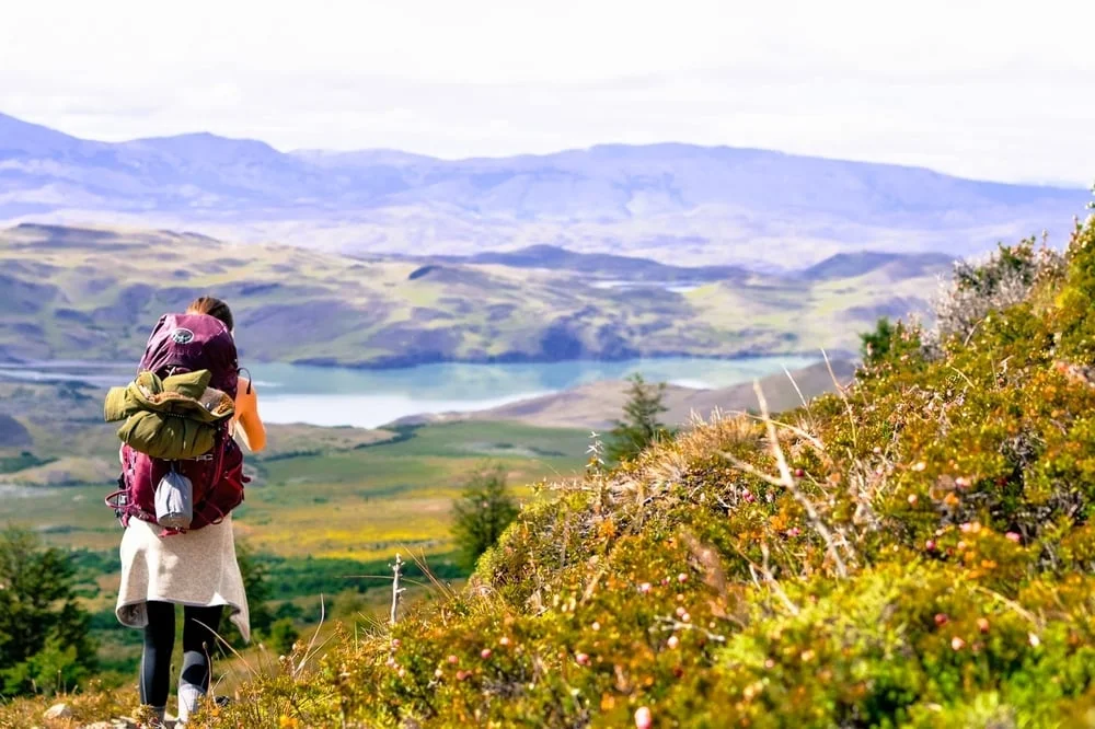 patagonia w trek day II: the hike to dome frances 