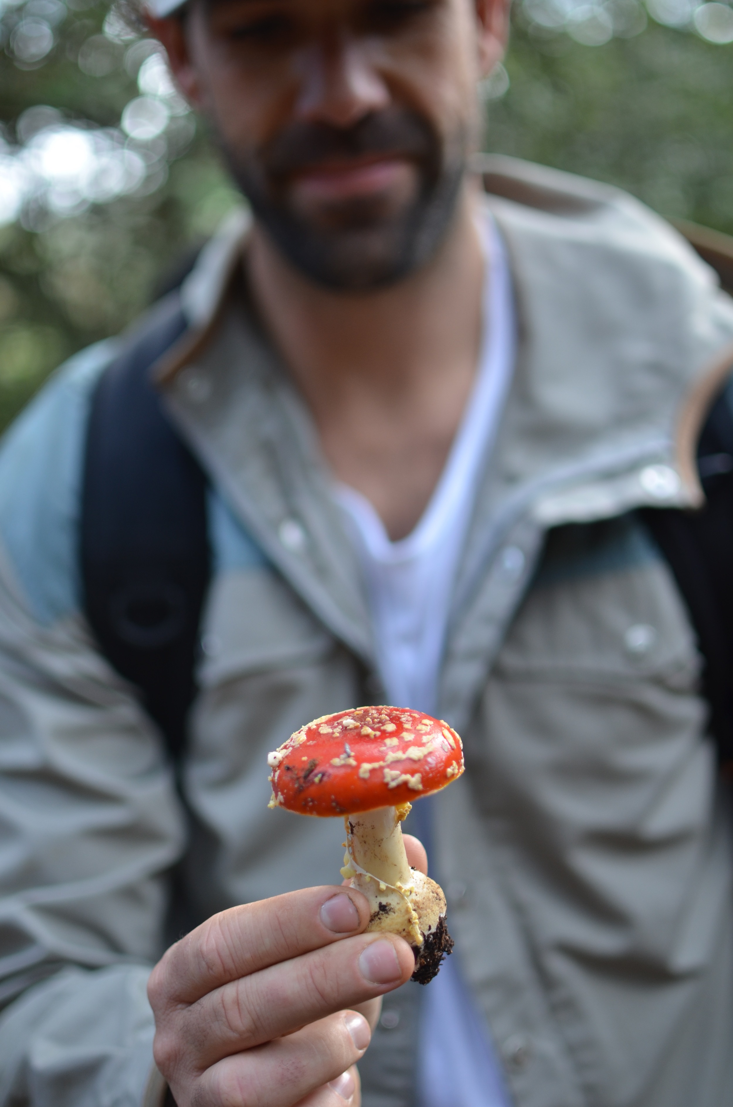 DSC_0238.jpg