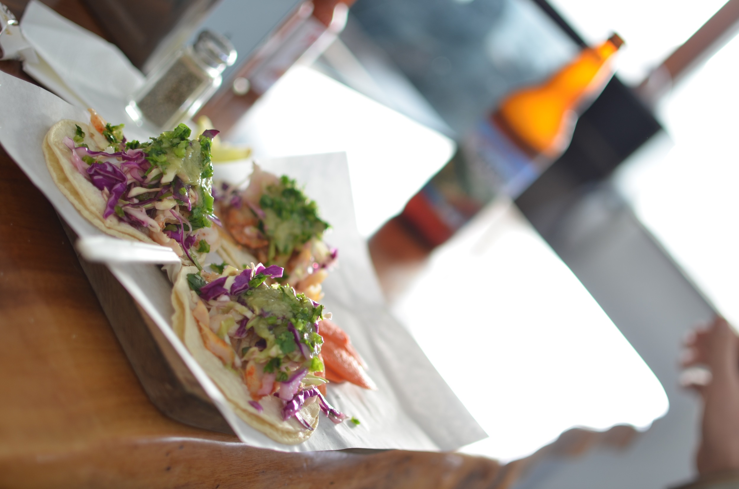 hunting for mushrooms in point reyesLife on Pine