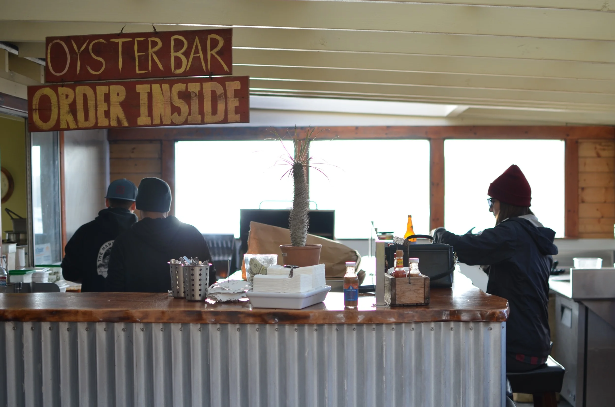 hunting for mushrooms in point reyesLife on Pine