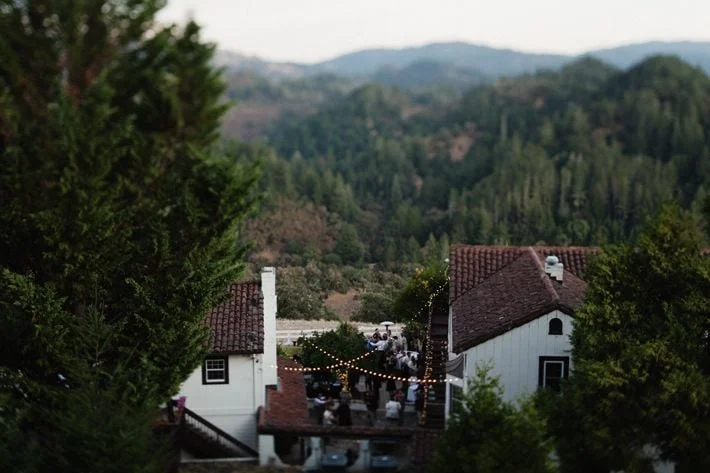 party in the pines preview