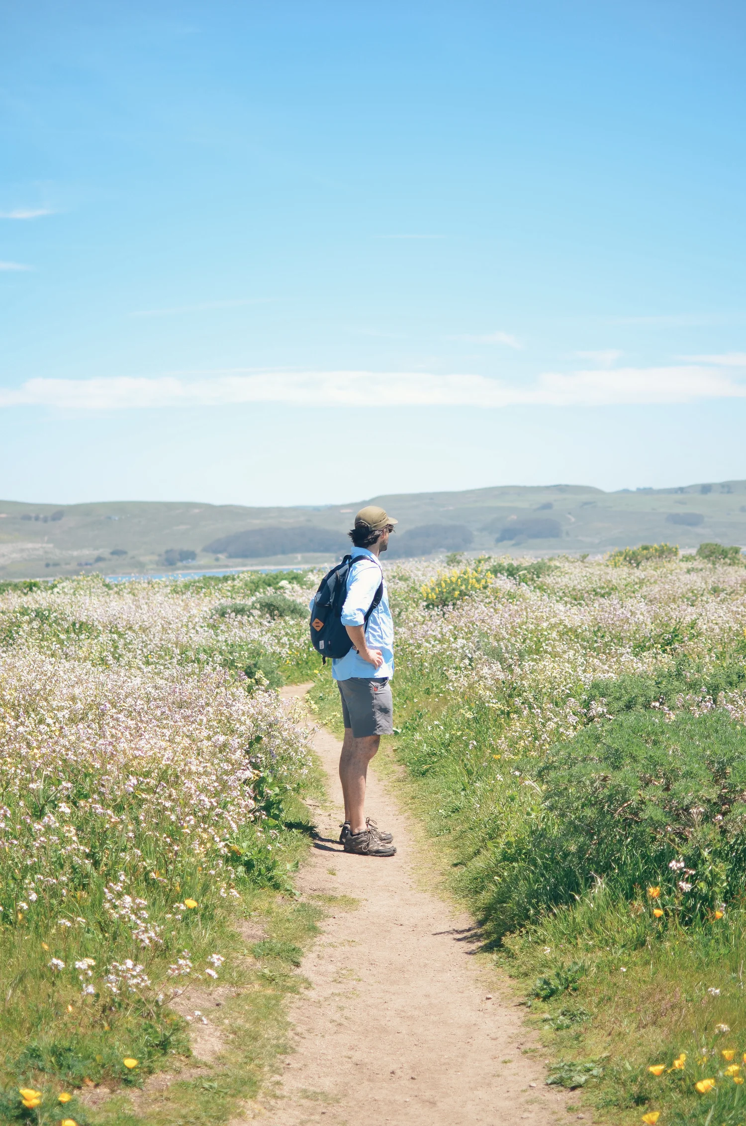 hiking the tule elk reserve