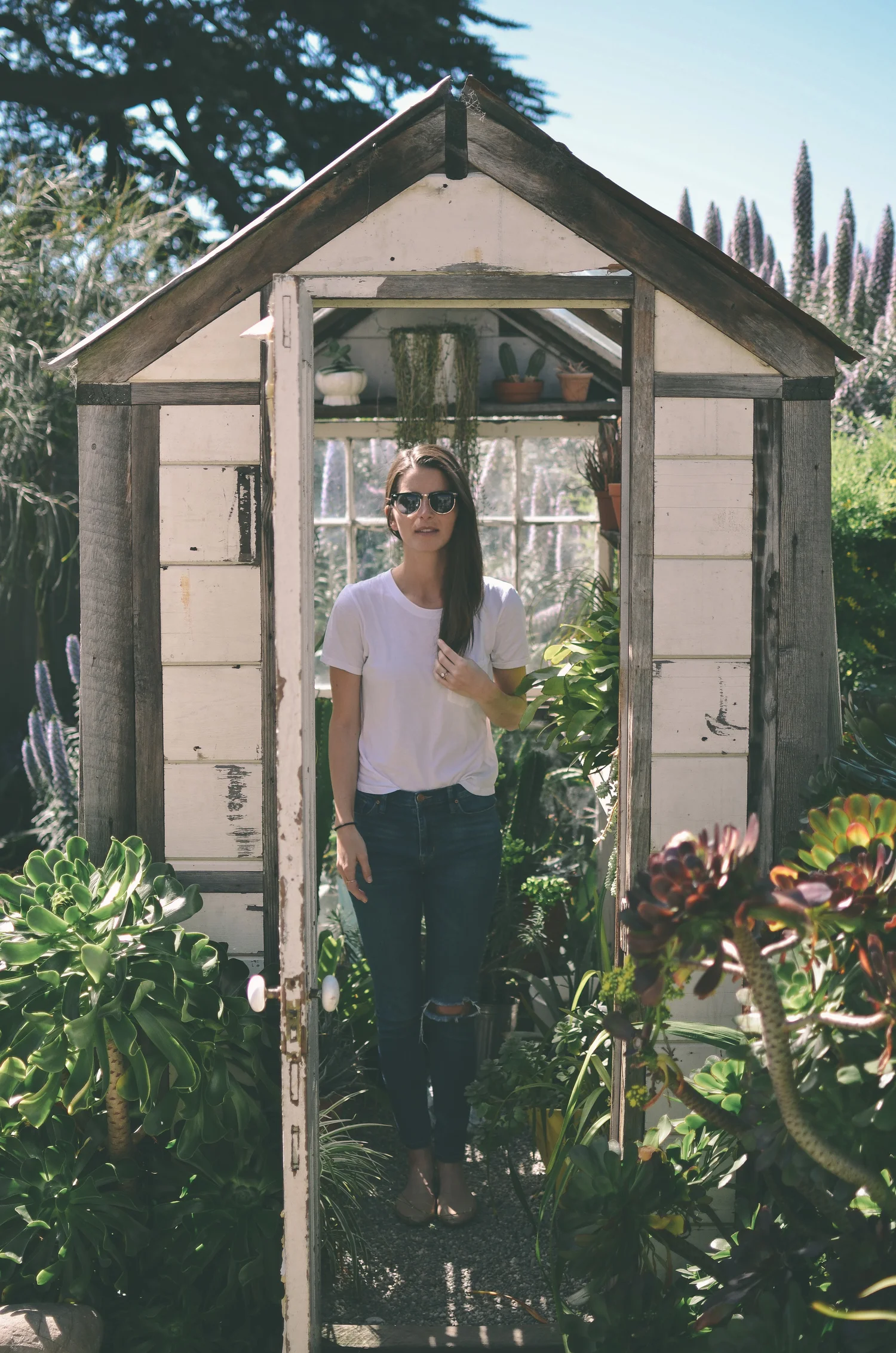 sf neighborhood guide: the outer sunset