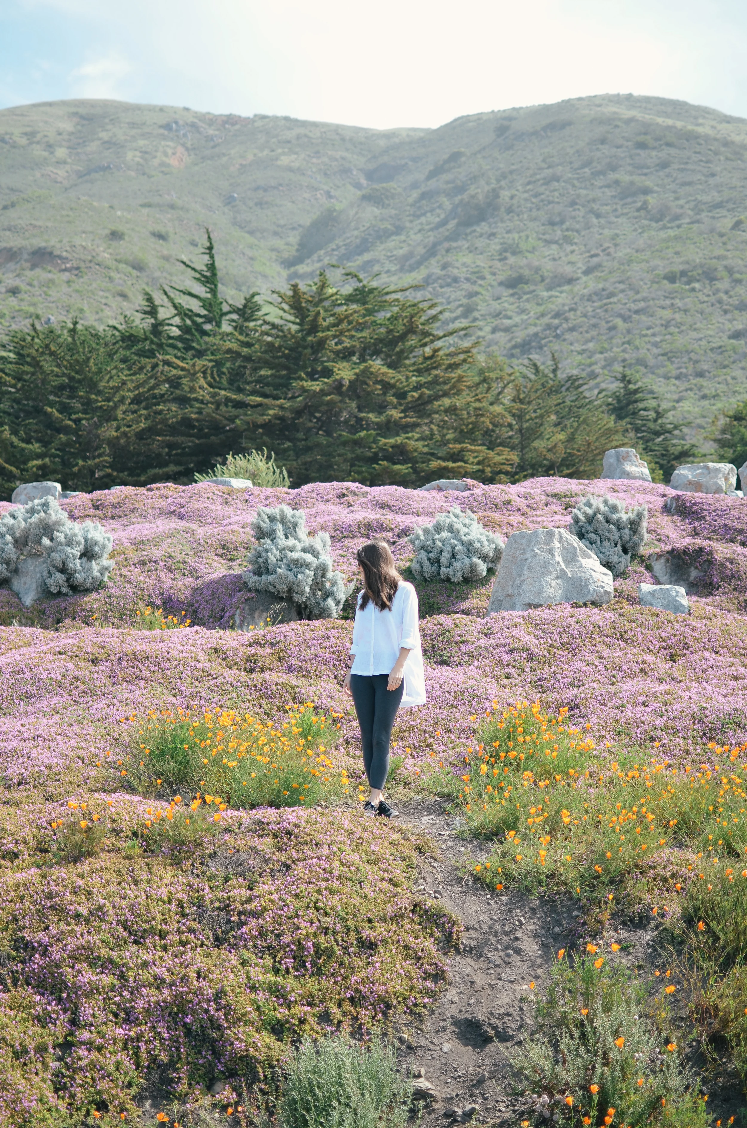 the perfect roadtrip: from san francisco to los angeles 