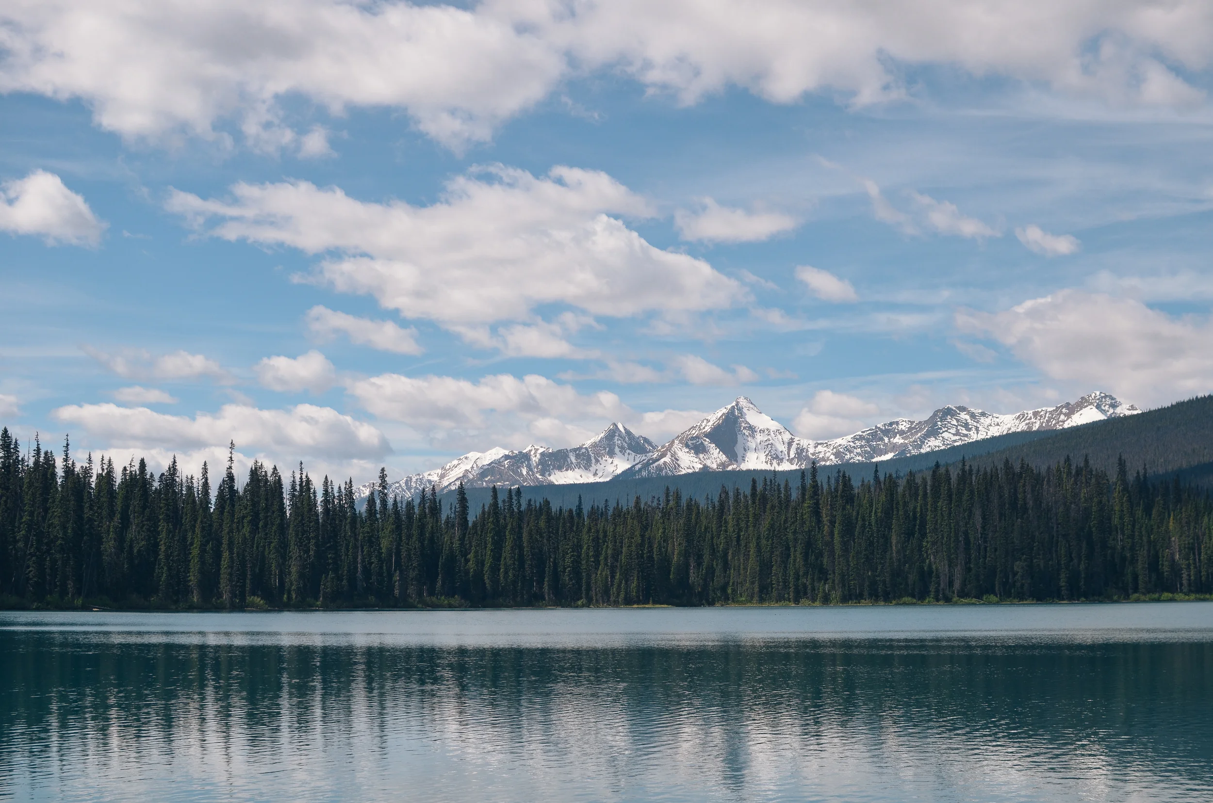 DSC_0404.jpg