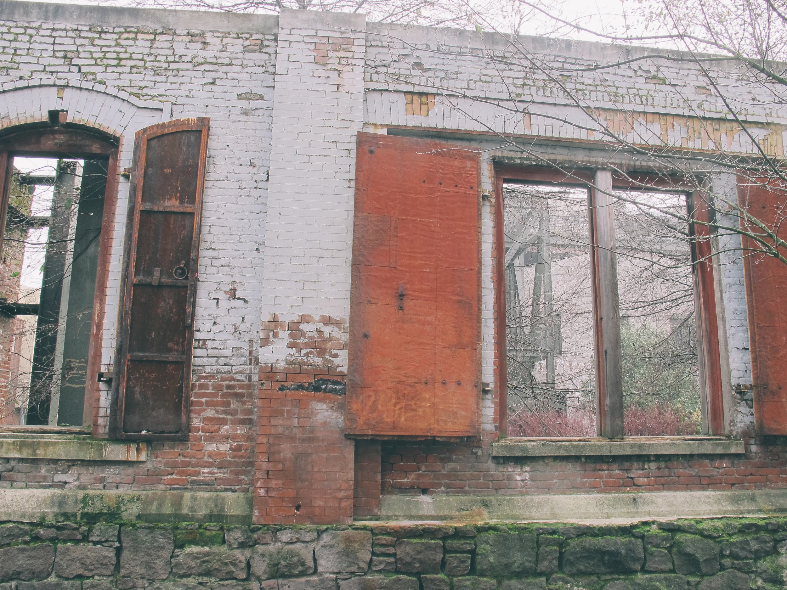 2013-01-19 12.20.06.jpg