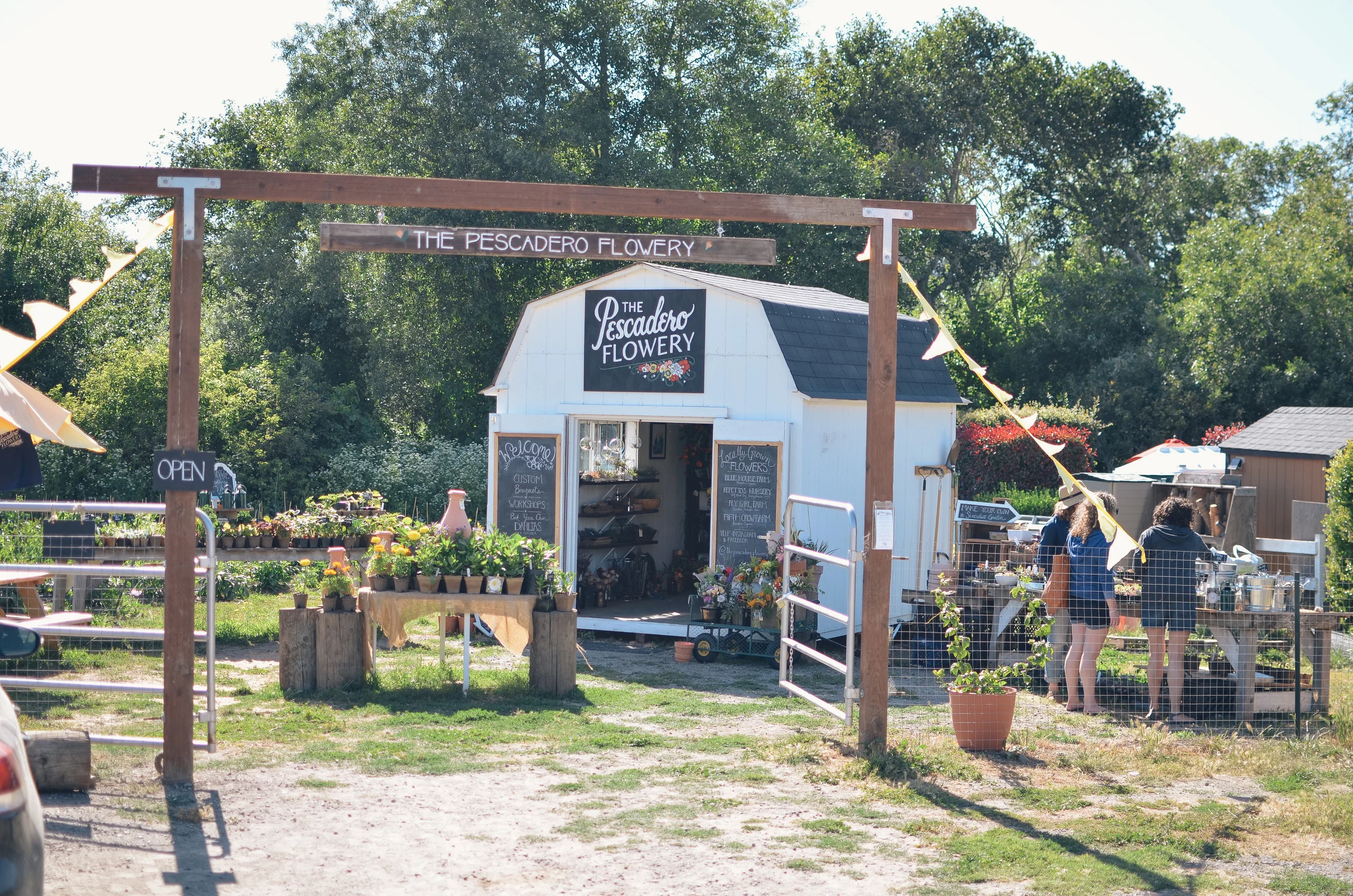 pie ranch barn dance, pescadero 