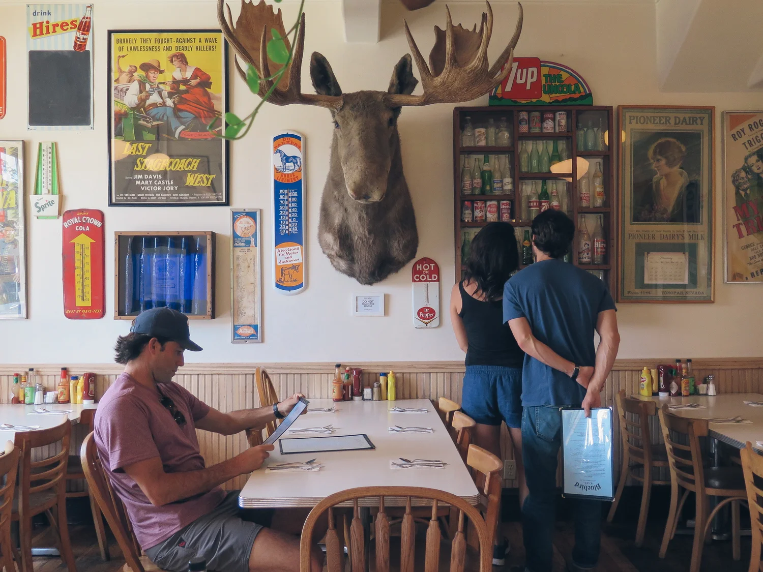 memorial day weekend: camping in humboldt