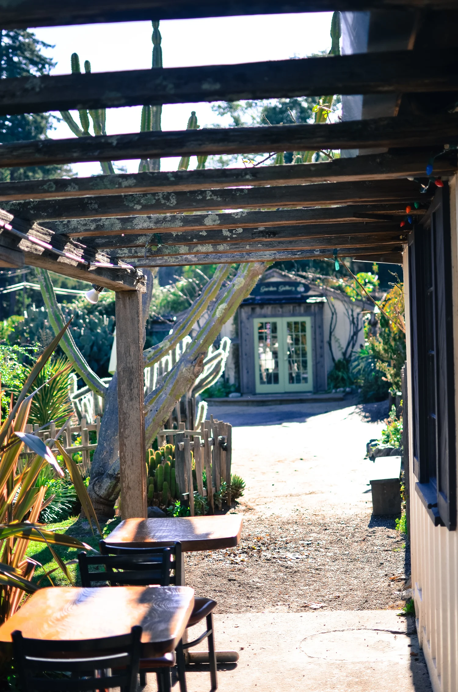 winter camping in big sur, ca