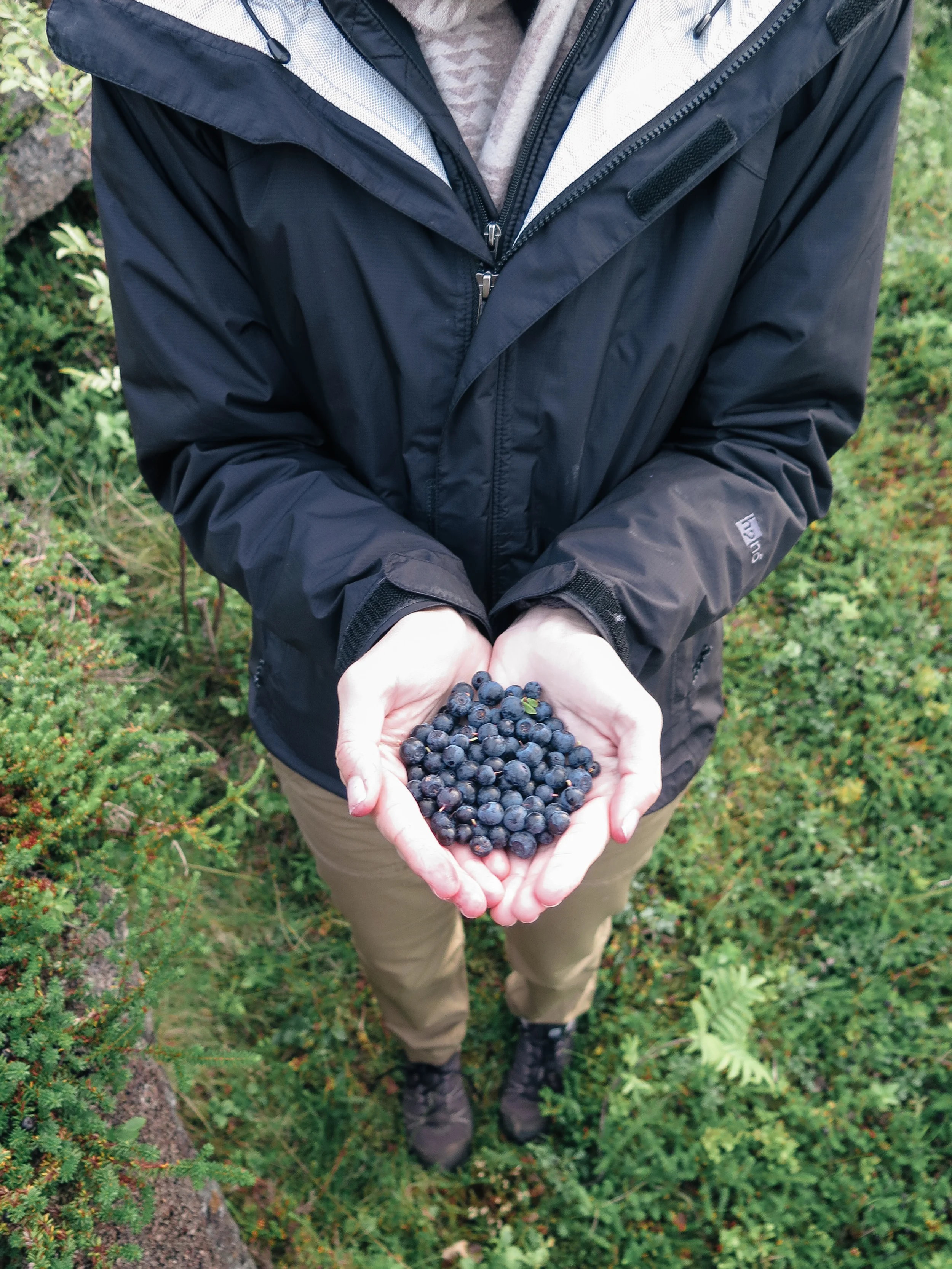 stamsund hostel, lofoten islands [norway]