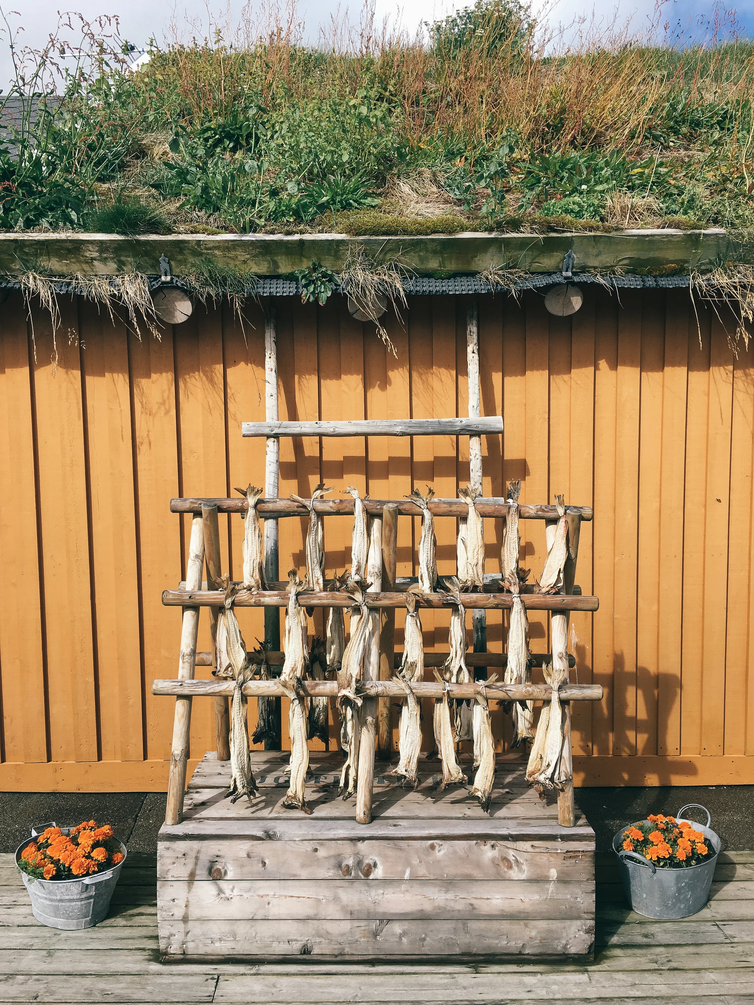 Photo Aug 08, 1 33 42 PM.jpg