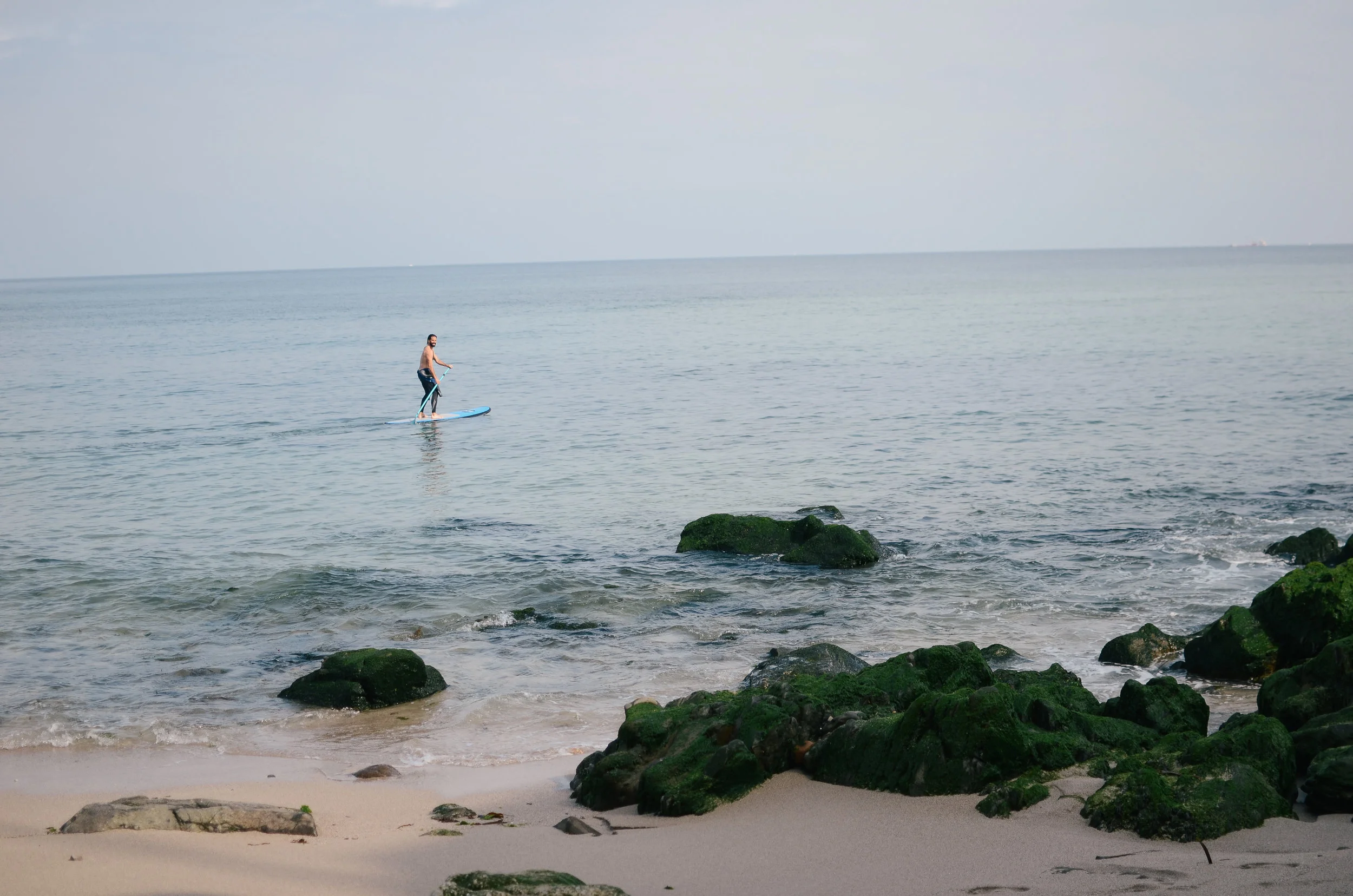 DSC_1482.jpg