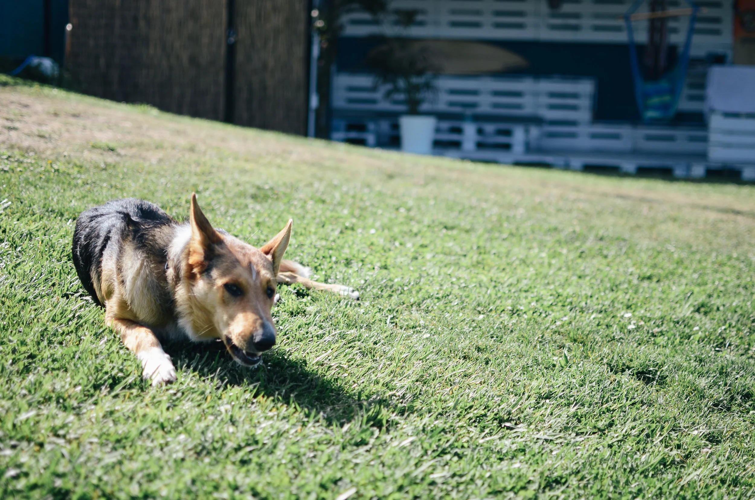 DSC_1529.jpg