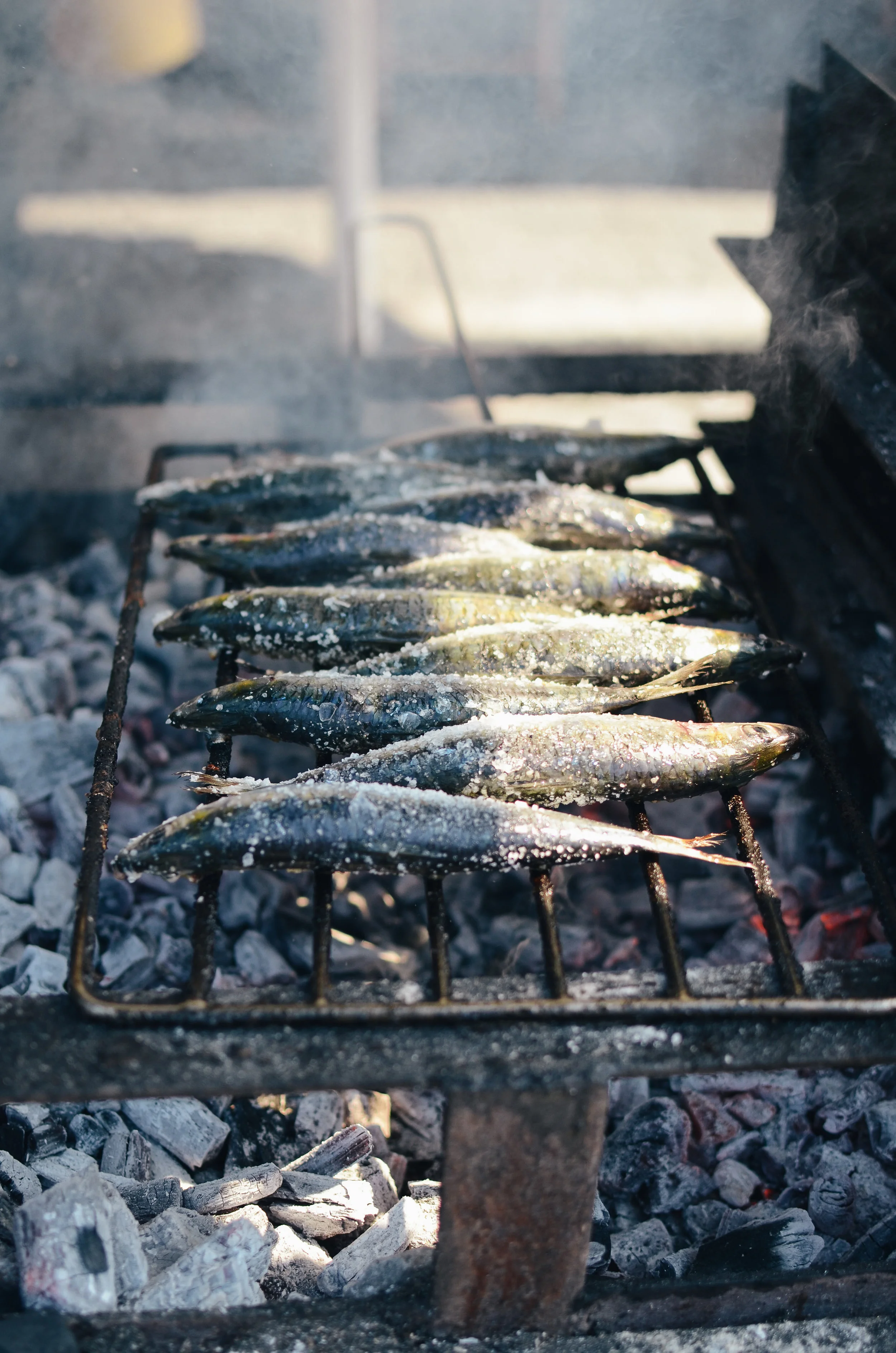 where to eat and drink in porto, portugal 