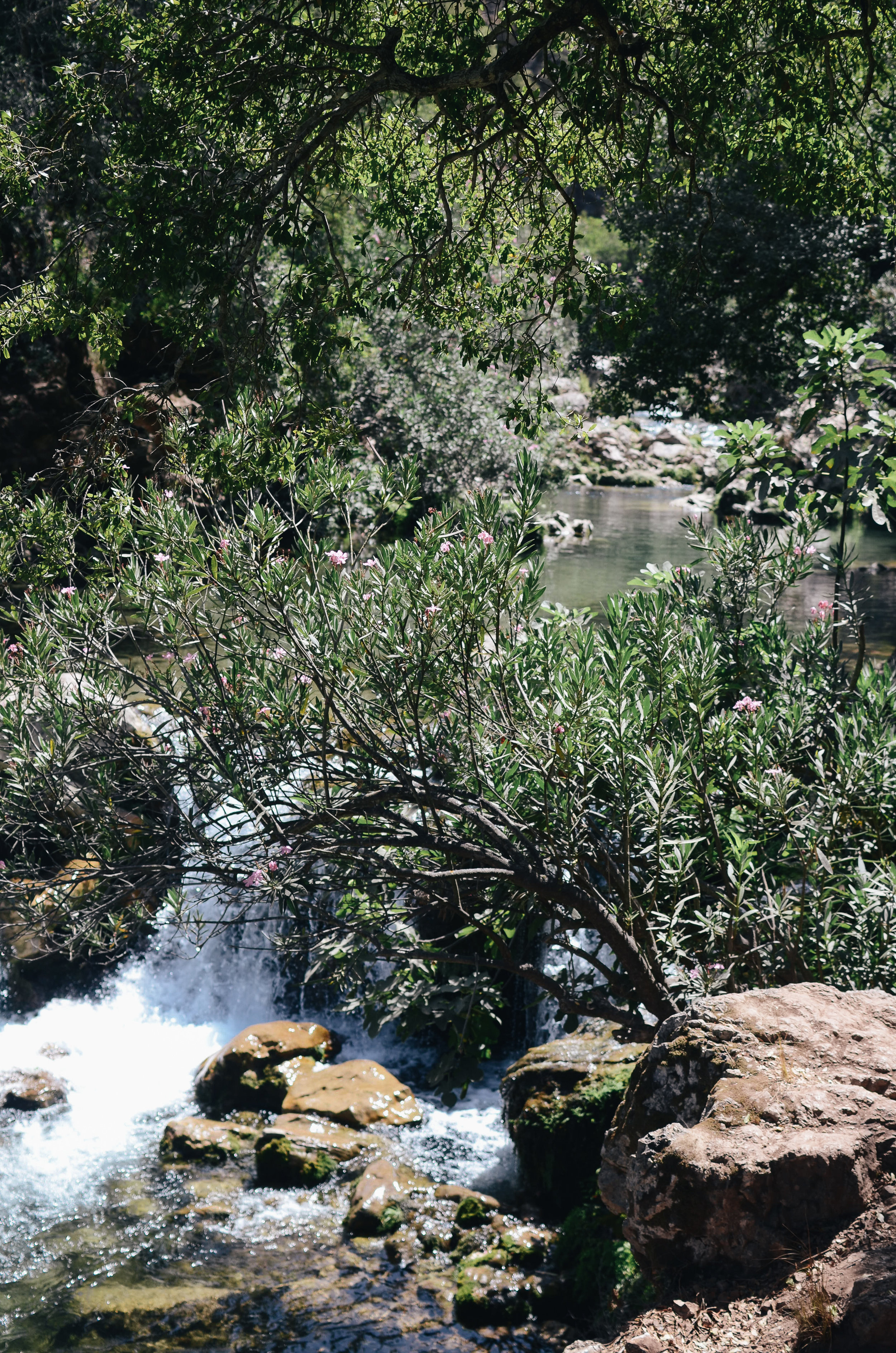 DSC_0261.jpg