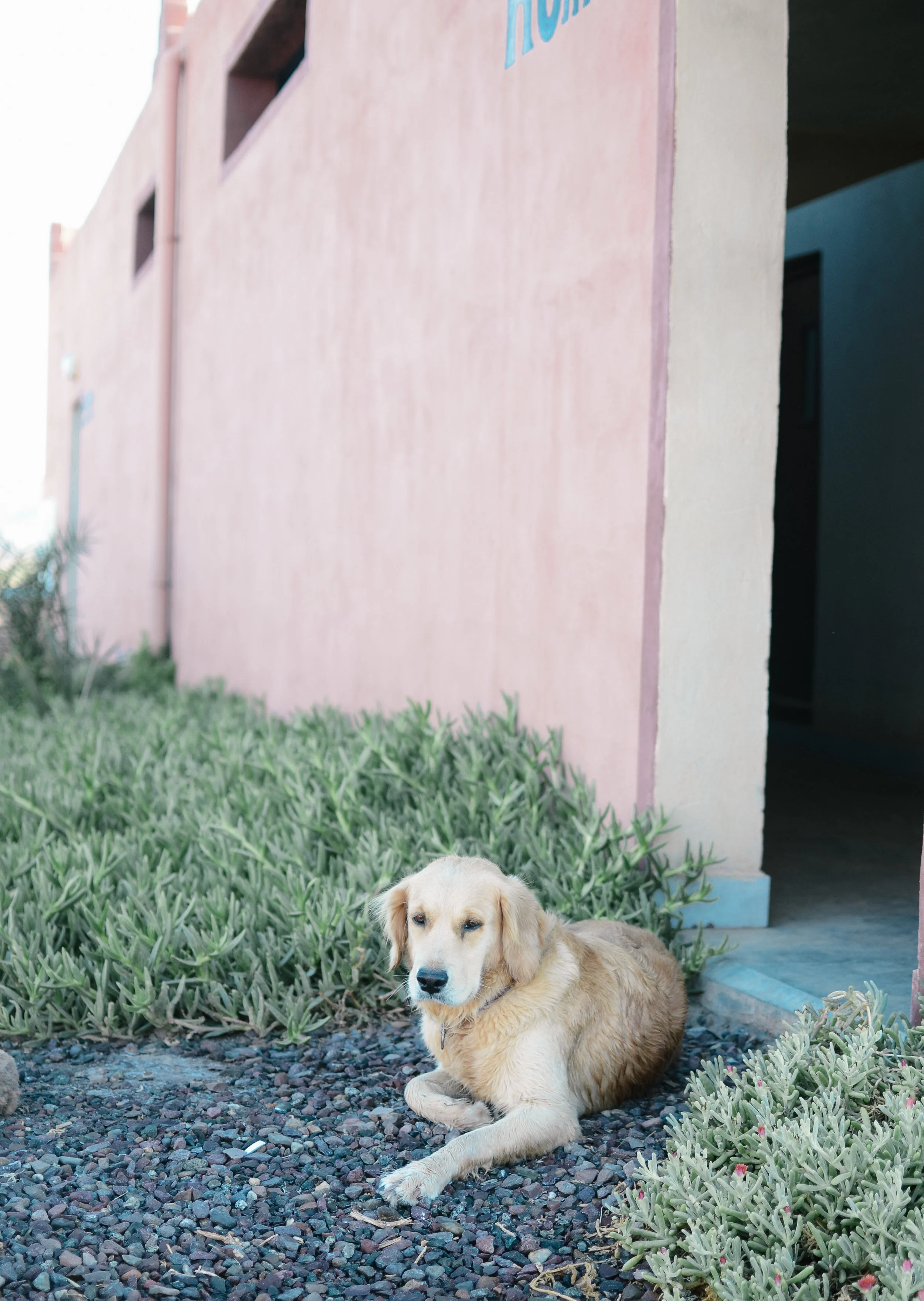 DSC_0269.jpg