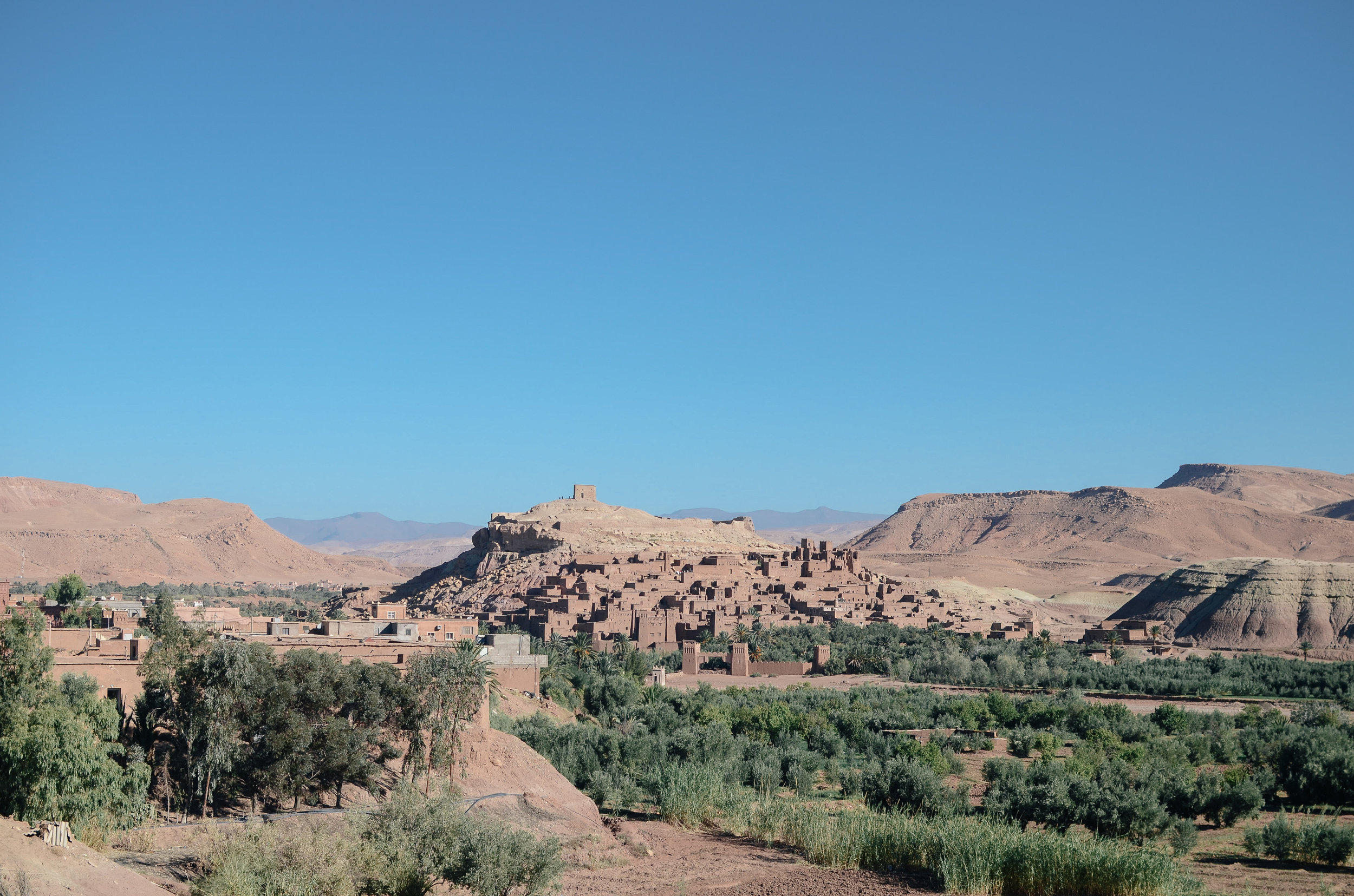 DSC_0300.jpg