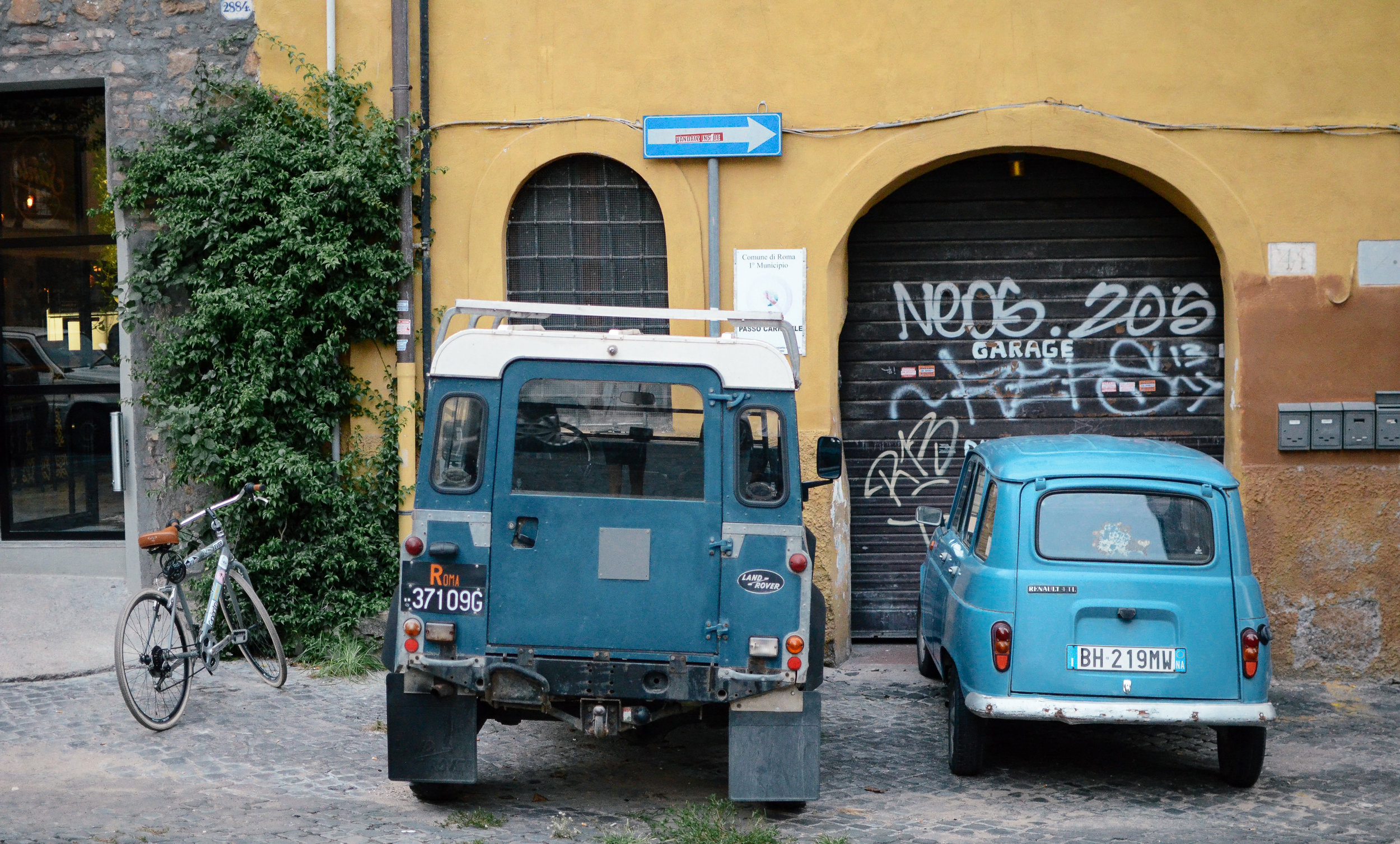 DSC_0702.jpg