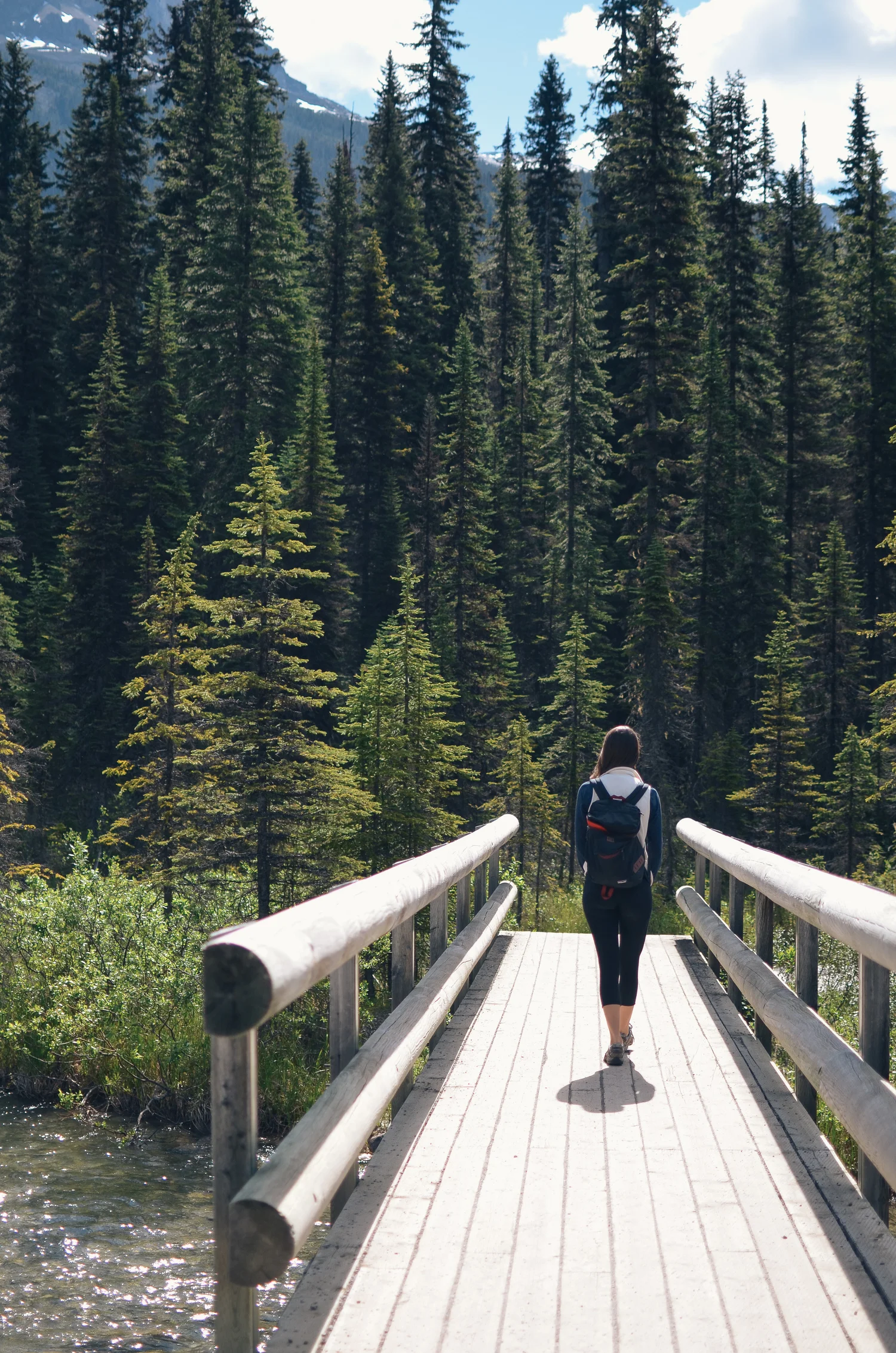 emerald lake & banff national park video 