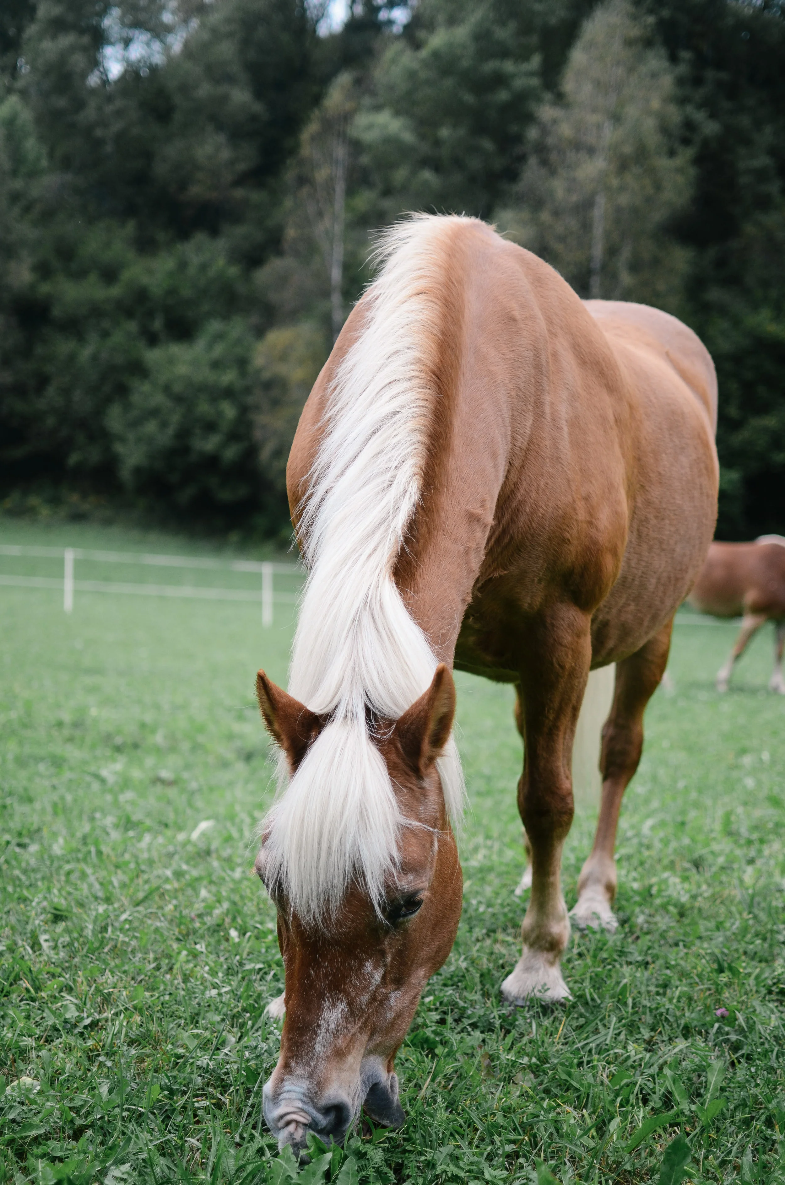 dolomites-why-the-italian-alps-should-be-your-next-mountain-adventure- travel-blog-29.jpg