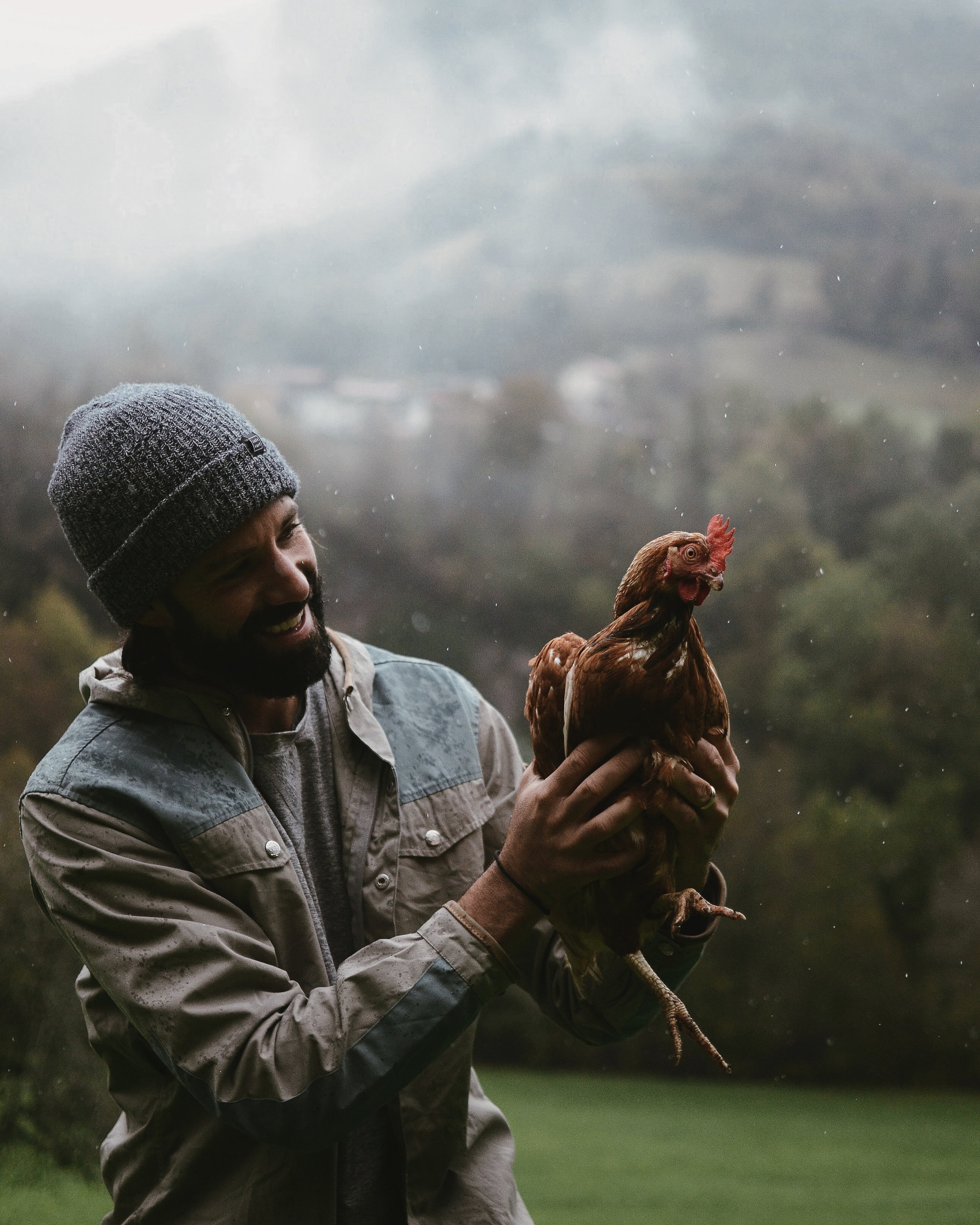 how to volunteer abroad: wwoofing in western slovenia 