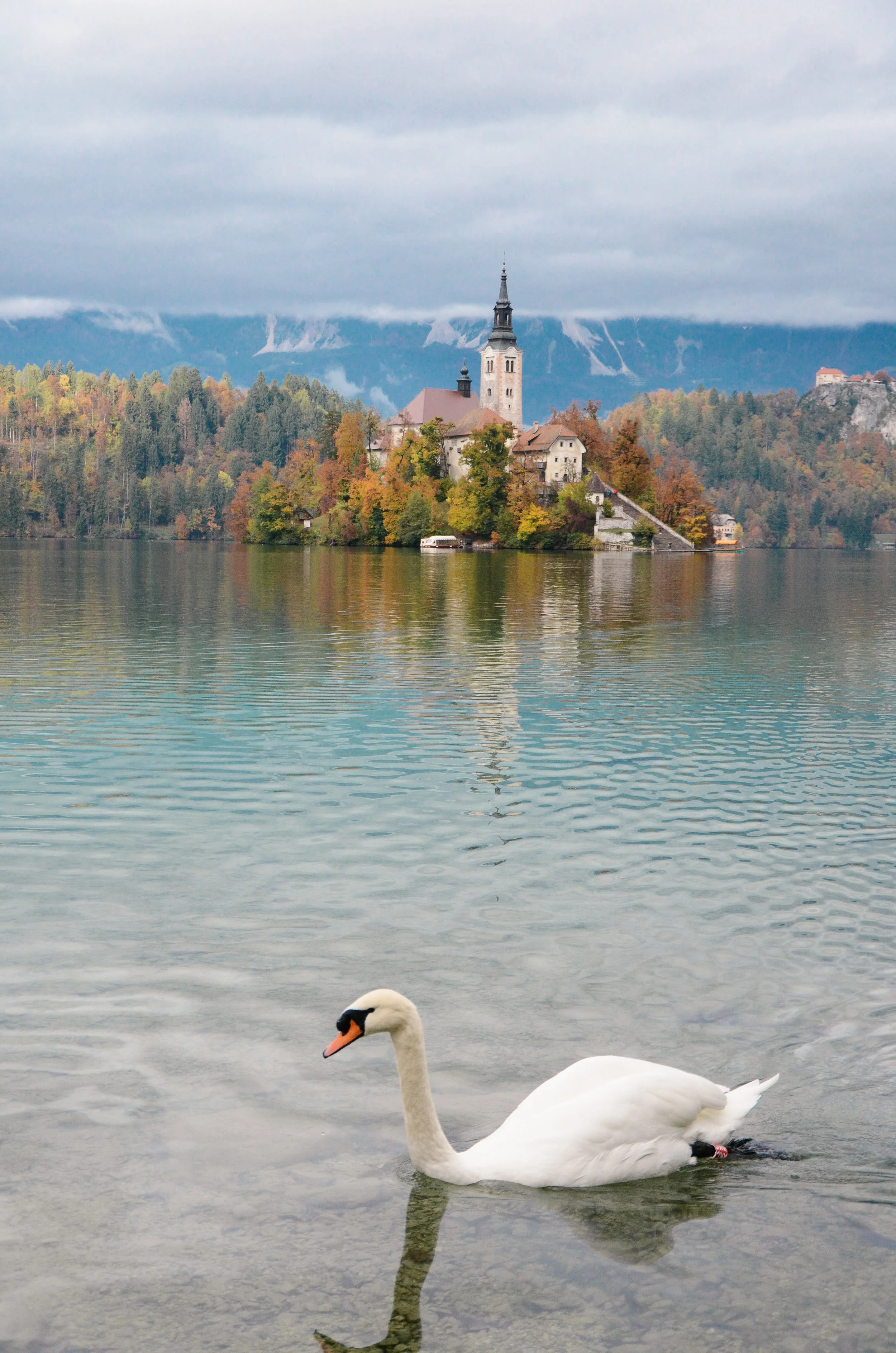 lake-bled-slovenia-travel-guide-lifeonpine_DSC_1660.jpg