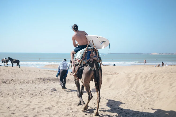 Morocco Travel Guide Life on Pine (1).jpg