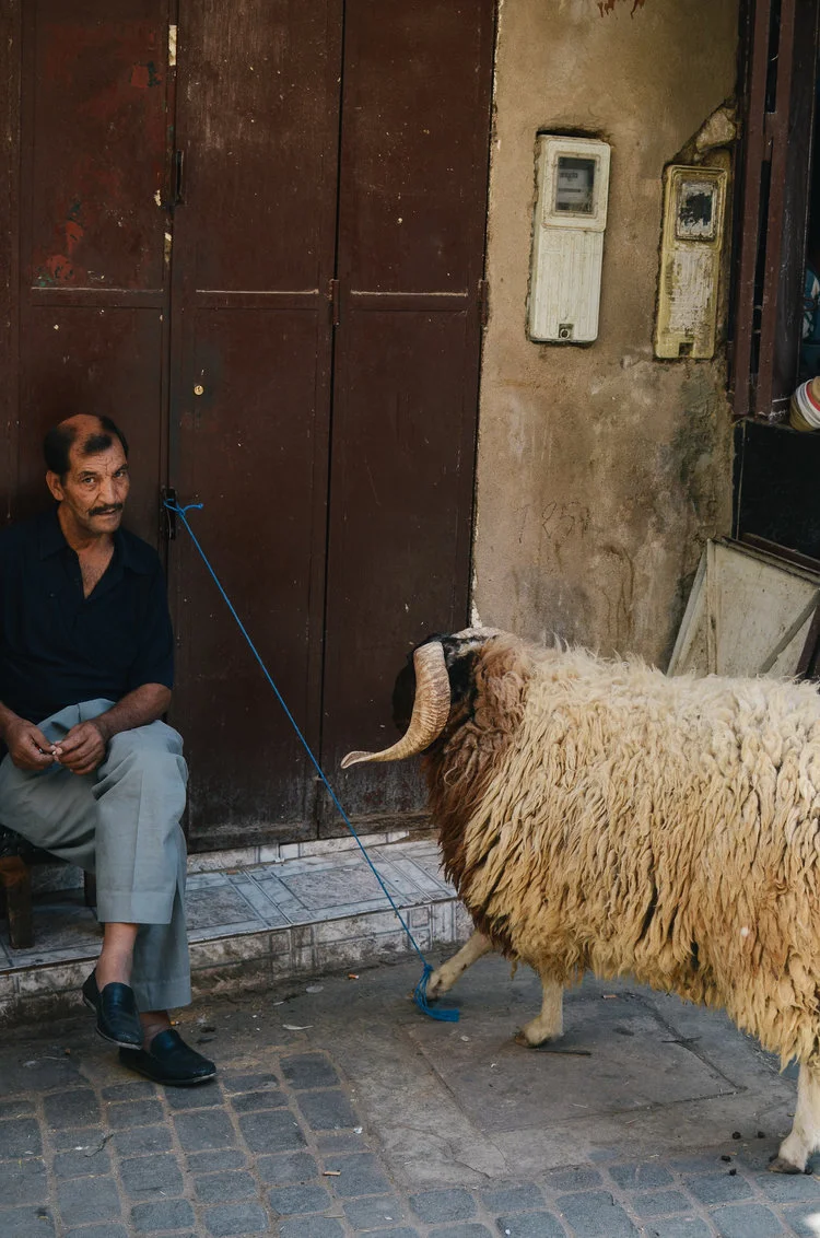 Morocco Travel Guide Life on Pine (10).jpg