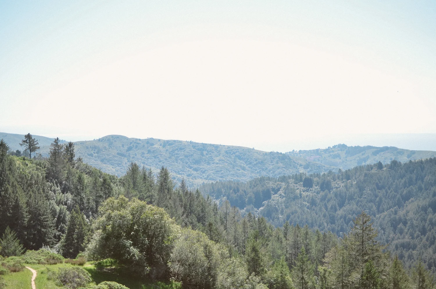 my favorite bay area day trip: mill valley, ca [marin]