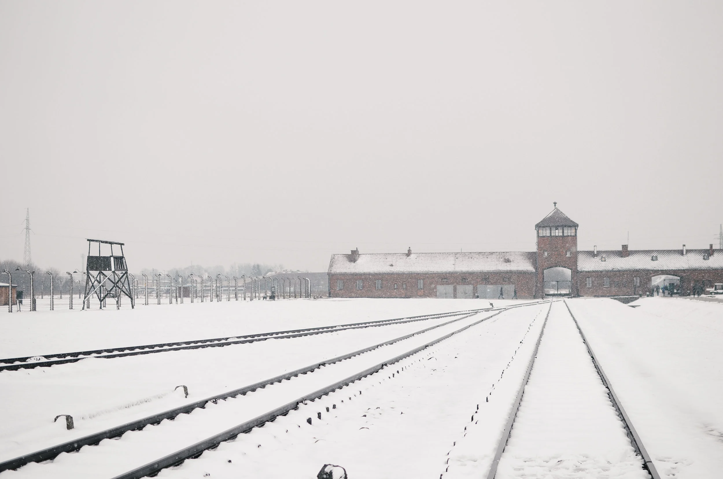  ^^ the train track where prisoners arrived. the young and healthy were told to go in one direction, and the sick or elderly were sent immediately to gas chambers&nbsp; 