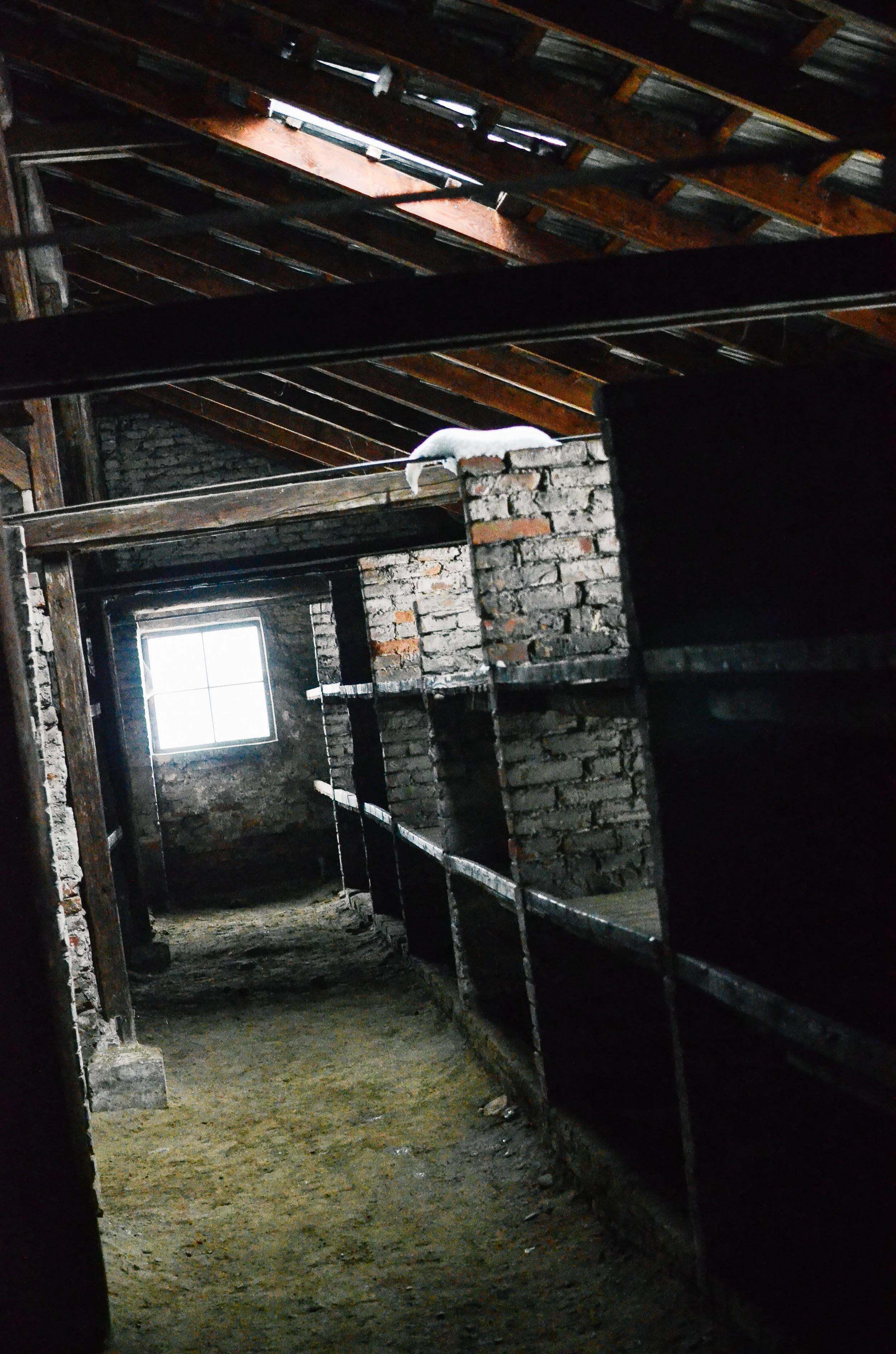  ^^ this is where the prisoners slept. 3 rows of bunks with no bedding and no insulation – you can see here how the snow falls through the roof&nbsp; 