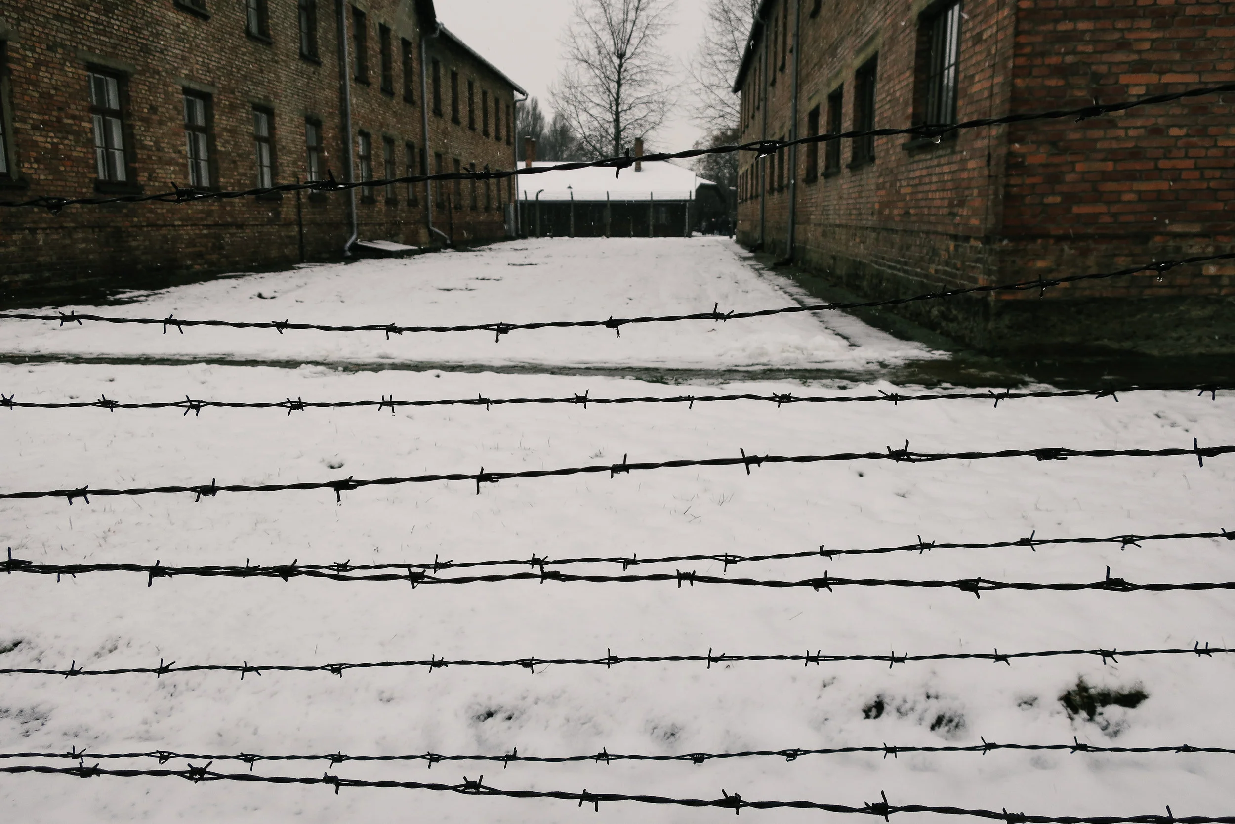 aushwitz-krakow-poland-travel-guide-lifeonpin_IMG_0210.jpg