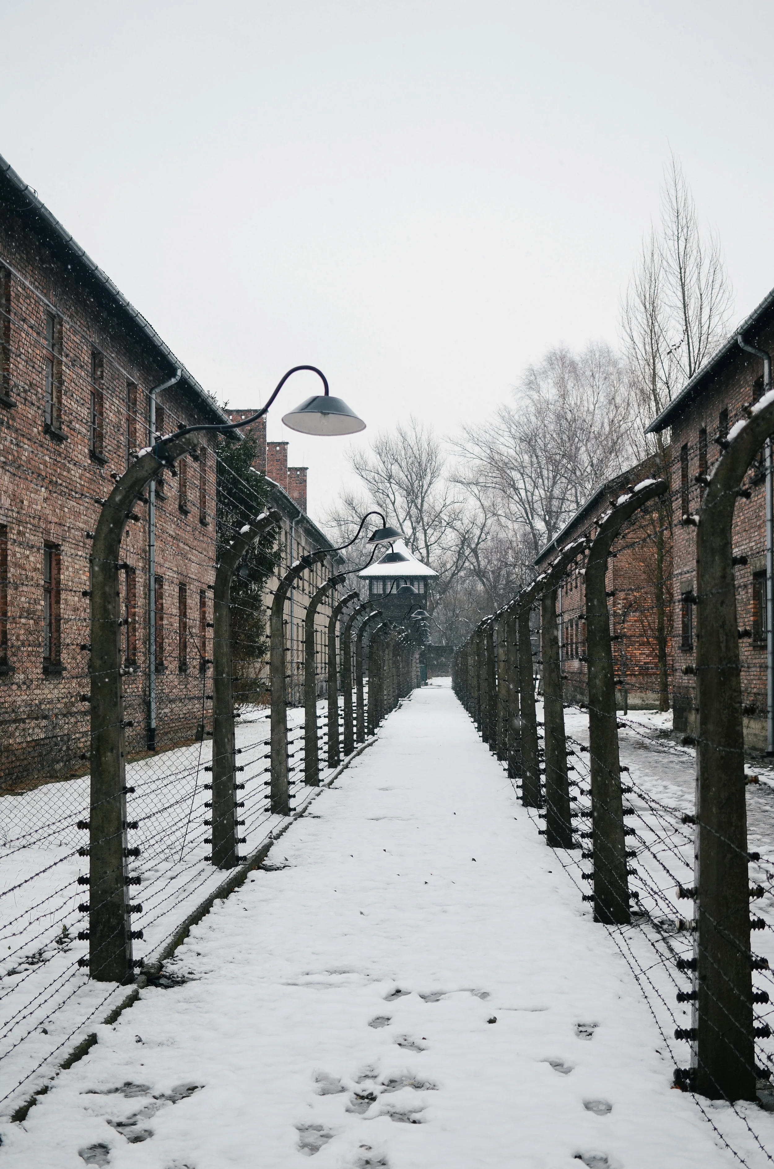 visiting auschwitz: an experience we'll never forget 