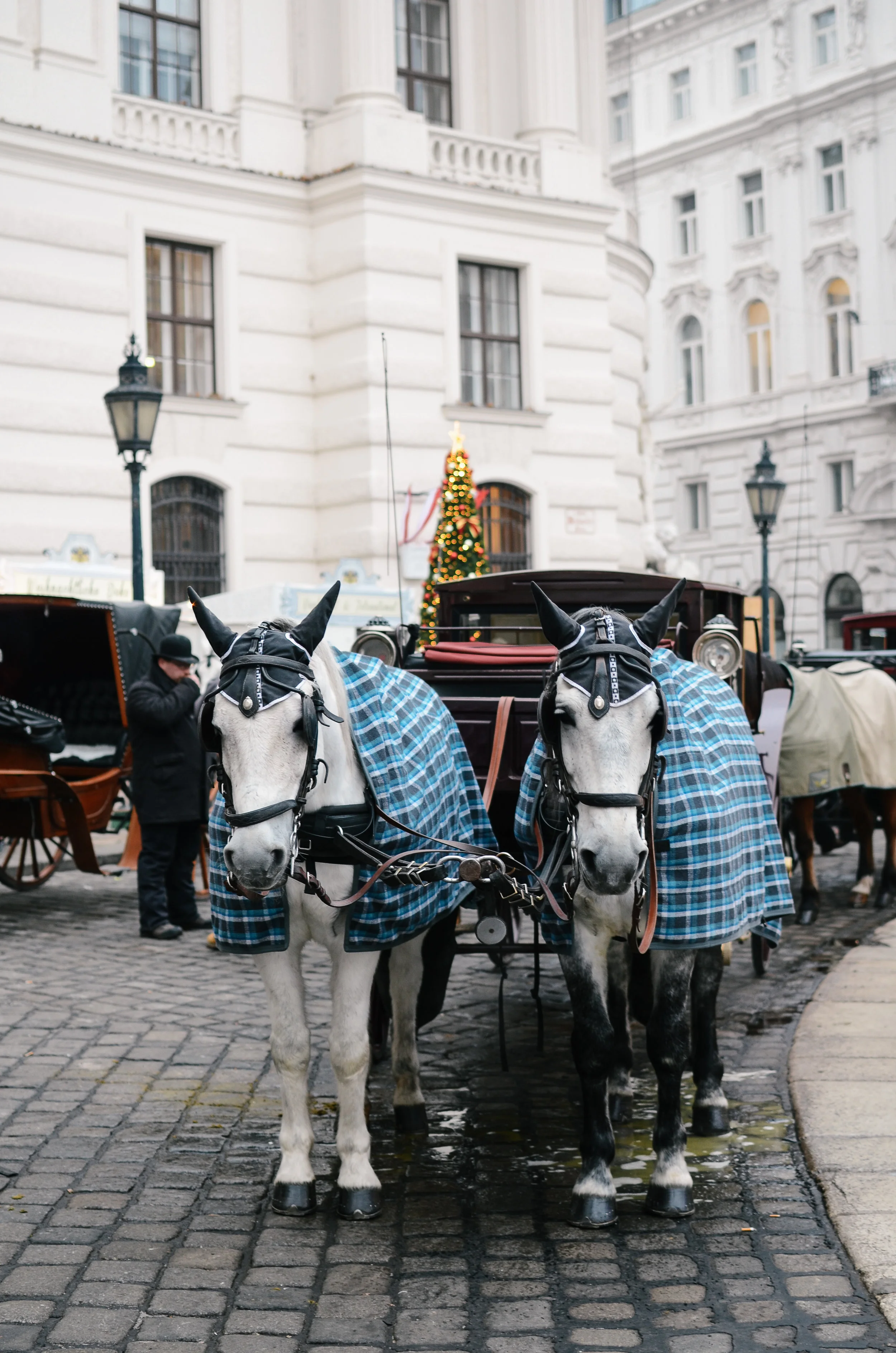 vienna-austria-travel-guide-lifeonpine_DSC_1569.jpg
