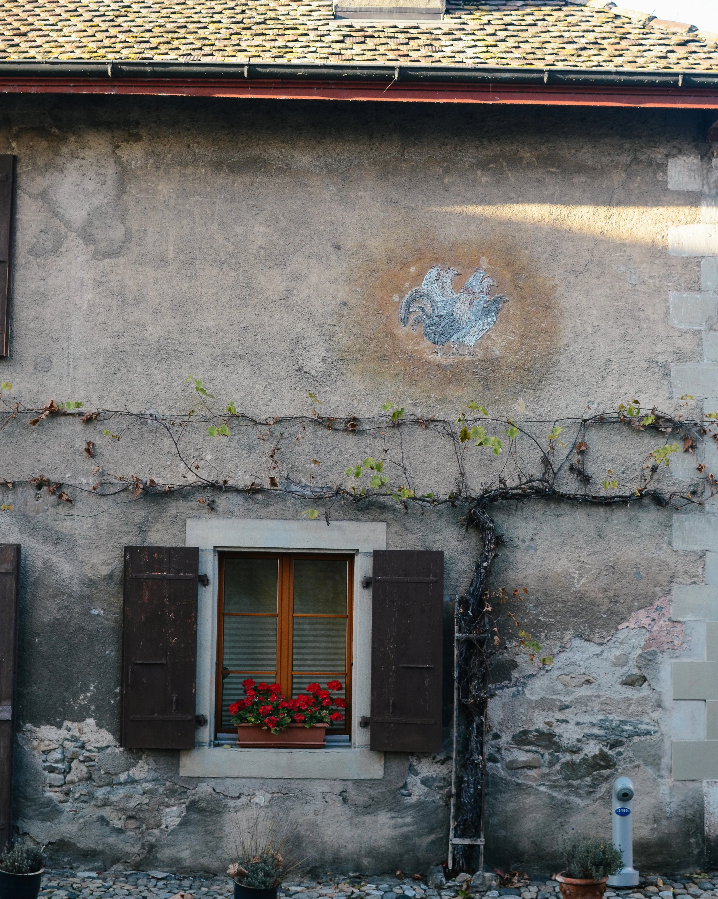 walls-of-switzerland-lifeonpine_DSC_0889.jpg