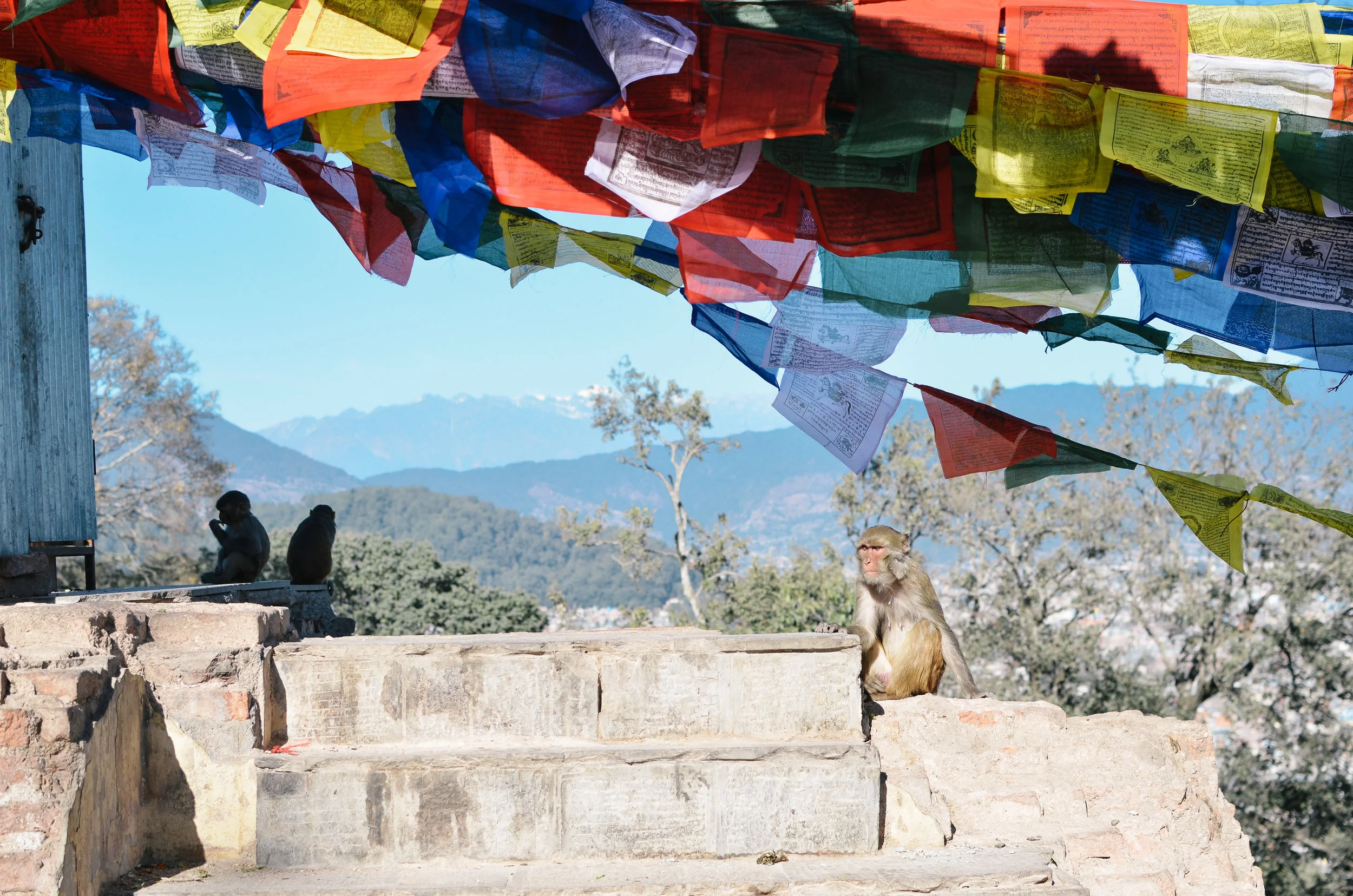 10-things-to-know-kathmandu-nepal-lifeonpine_DSC_1734.jpg