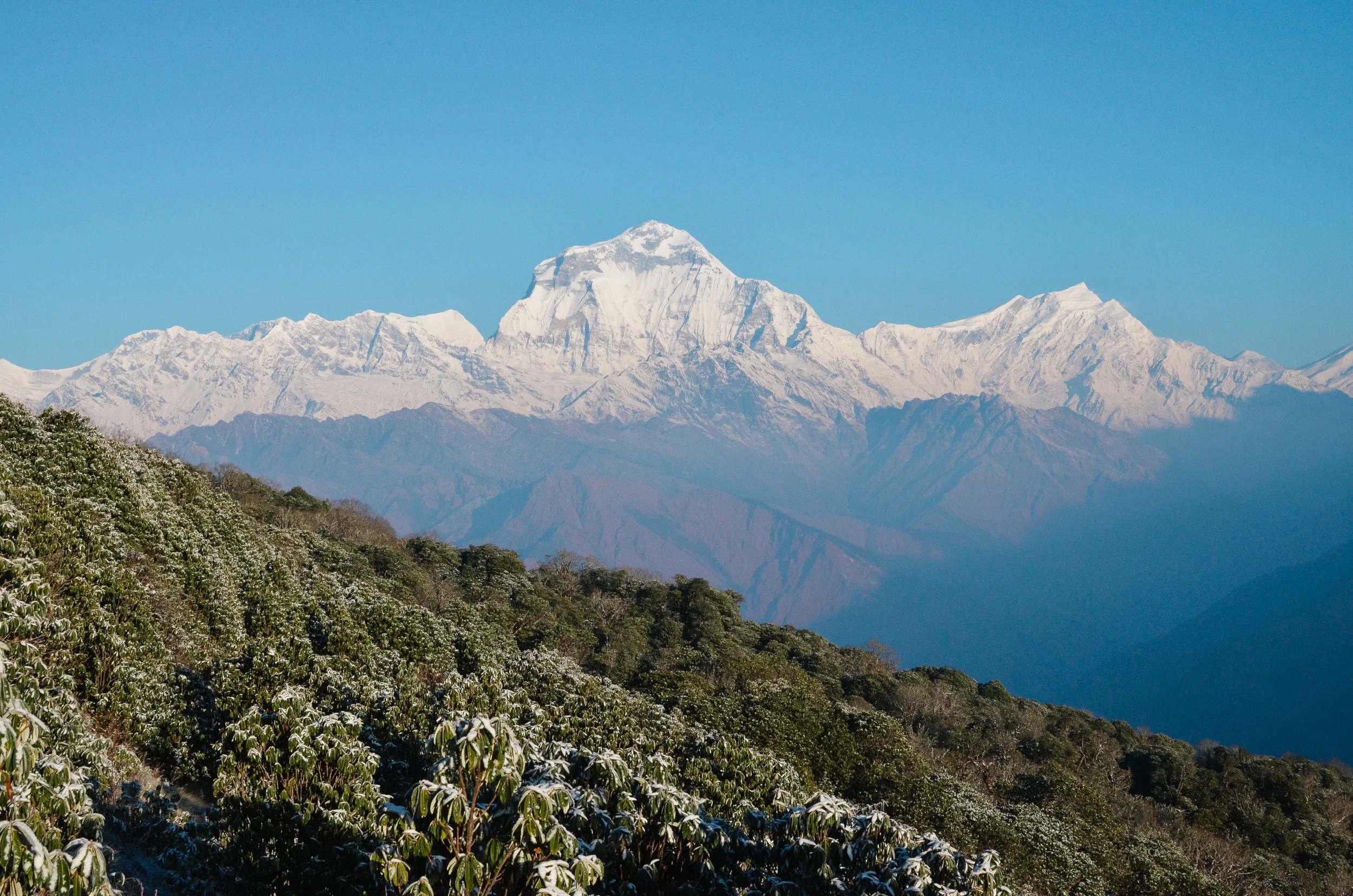 nepal-trek-annapurna_DSC_1333.jpg